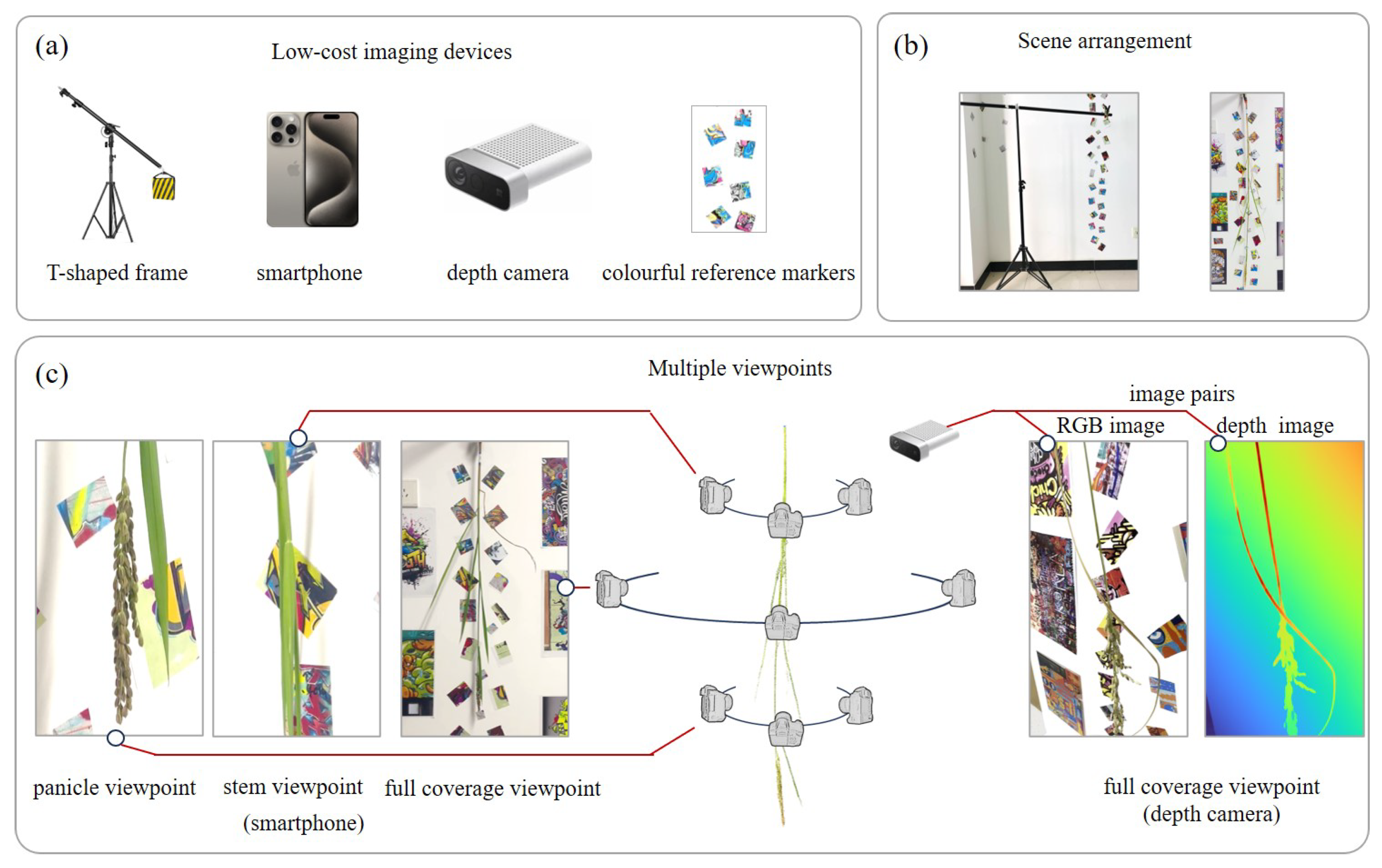 Agronomy 15 01803 g003