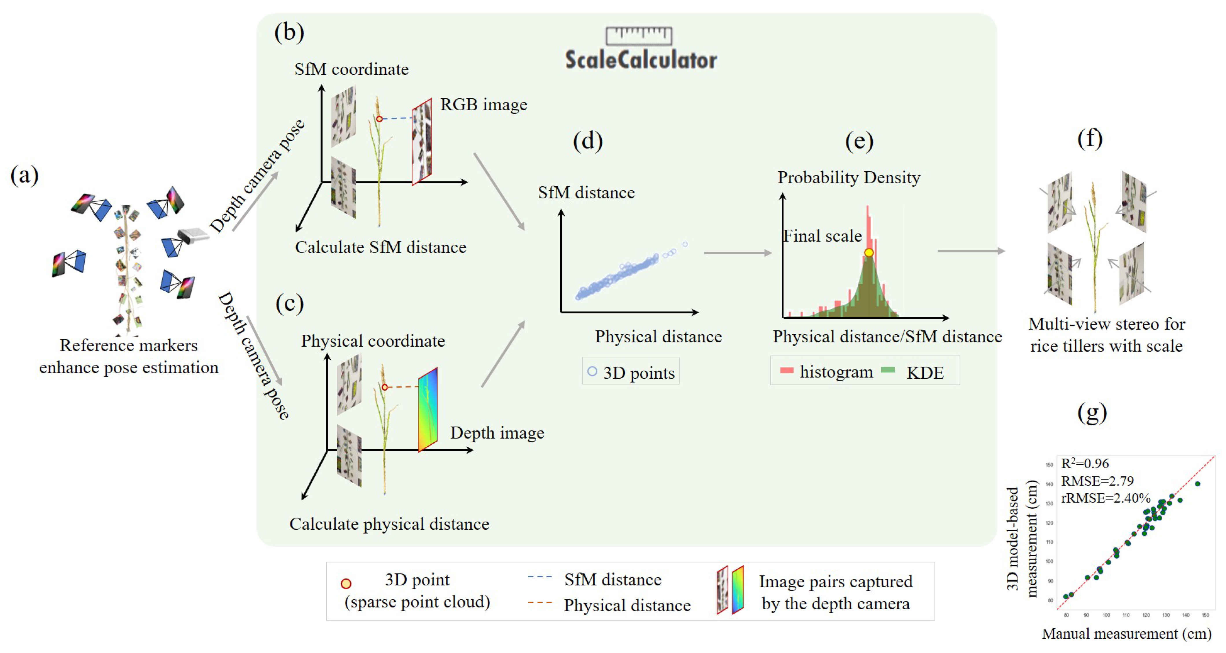 Agronomy 15 01803 g004