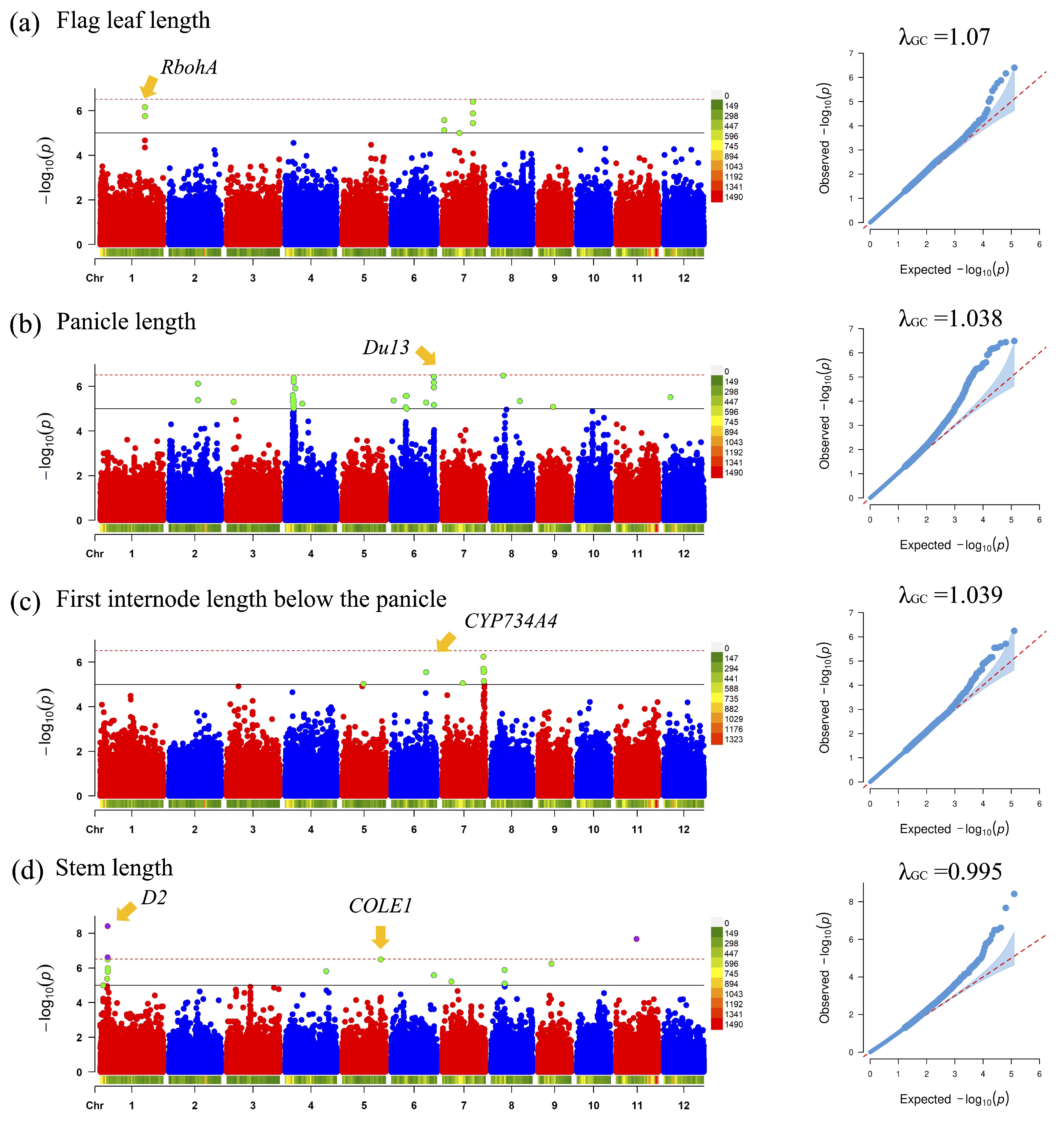 Agronomy 15 01803 g007