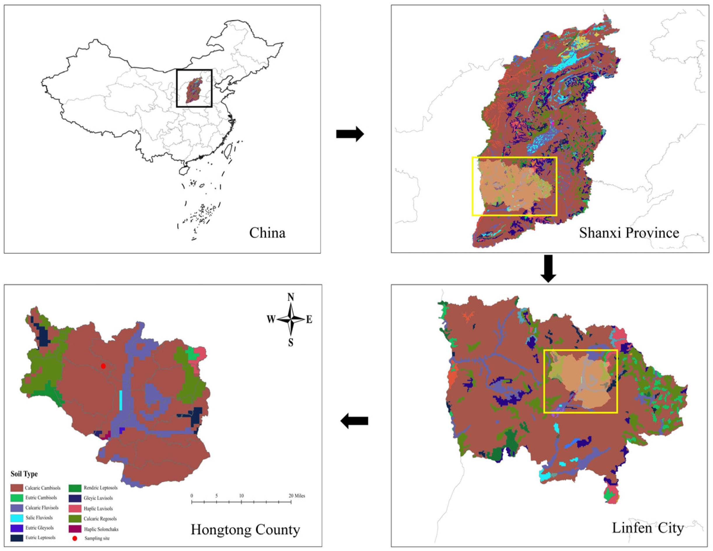 Agronomy 15 01808 g001