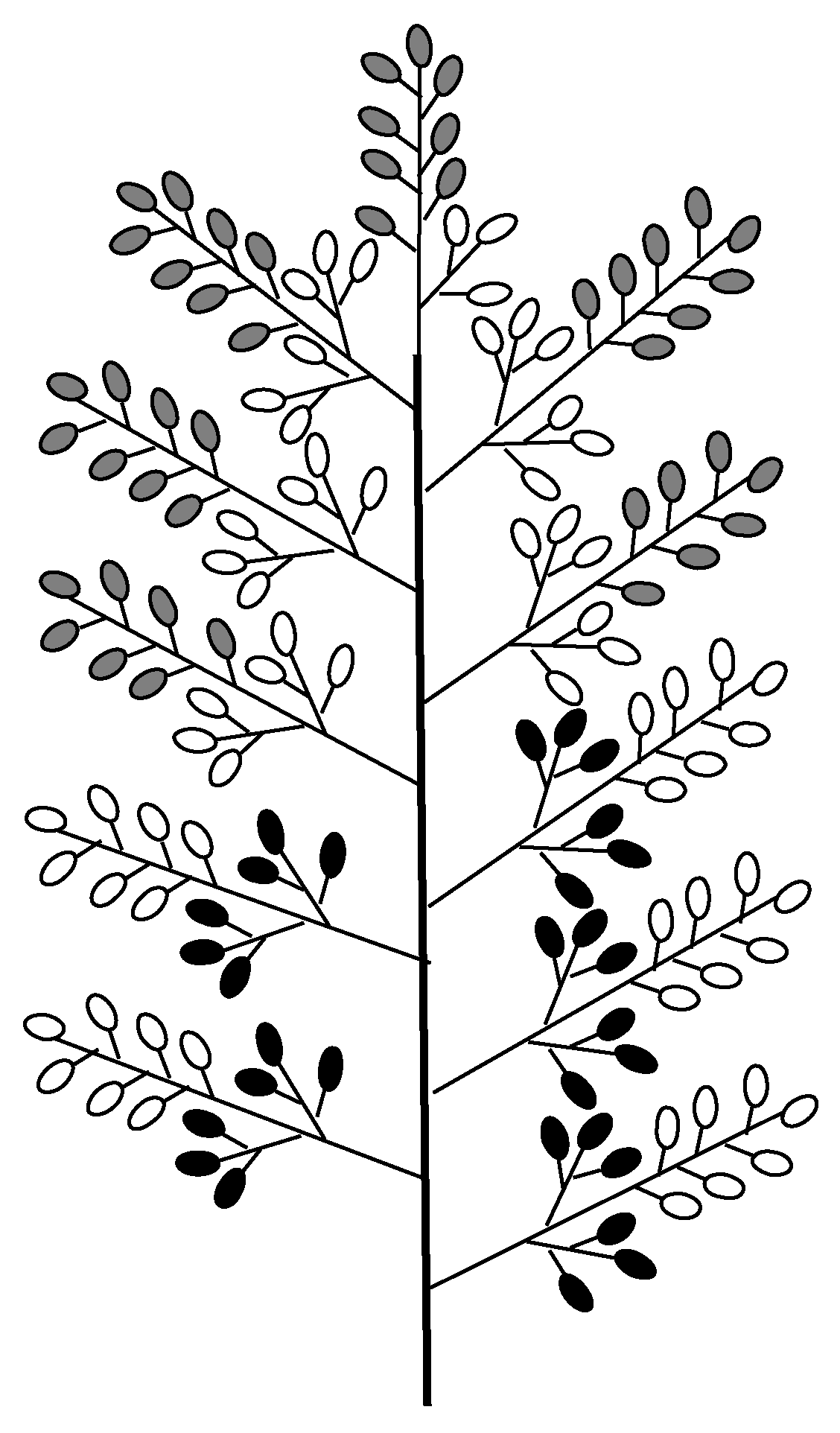 Agronomy 15 01809 g001