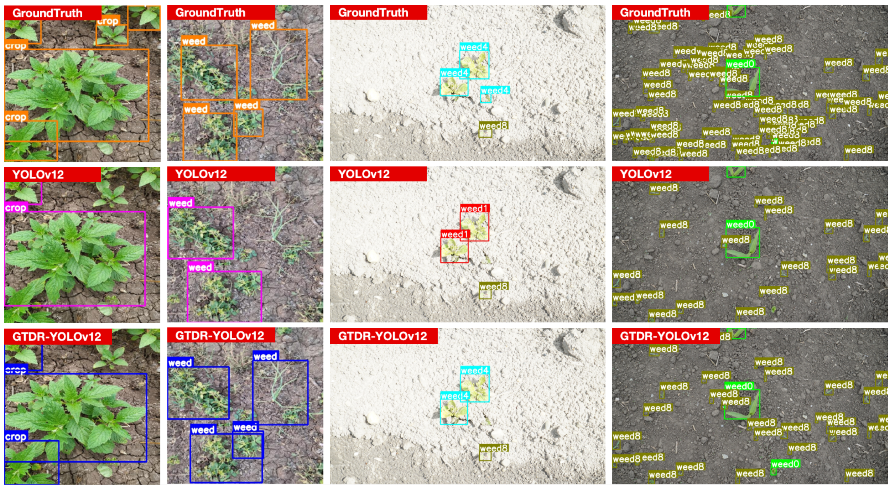 Agronomy 15 01824 g011