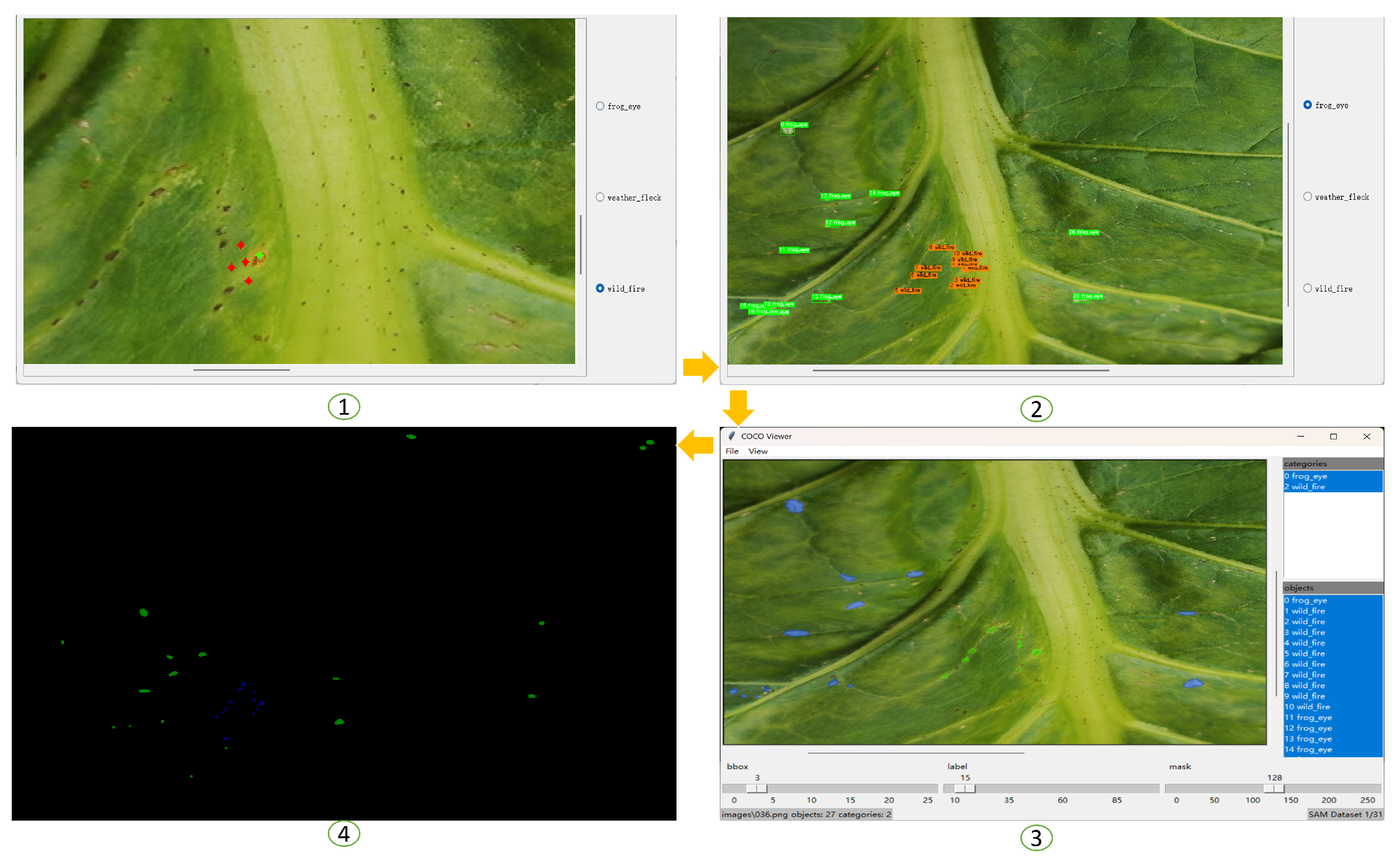 Agronomy 15 01825 g003