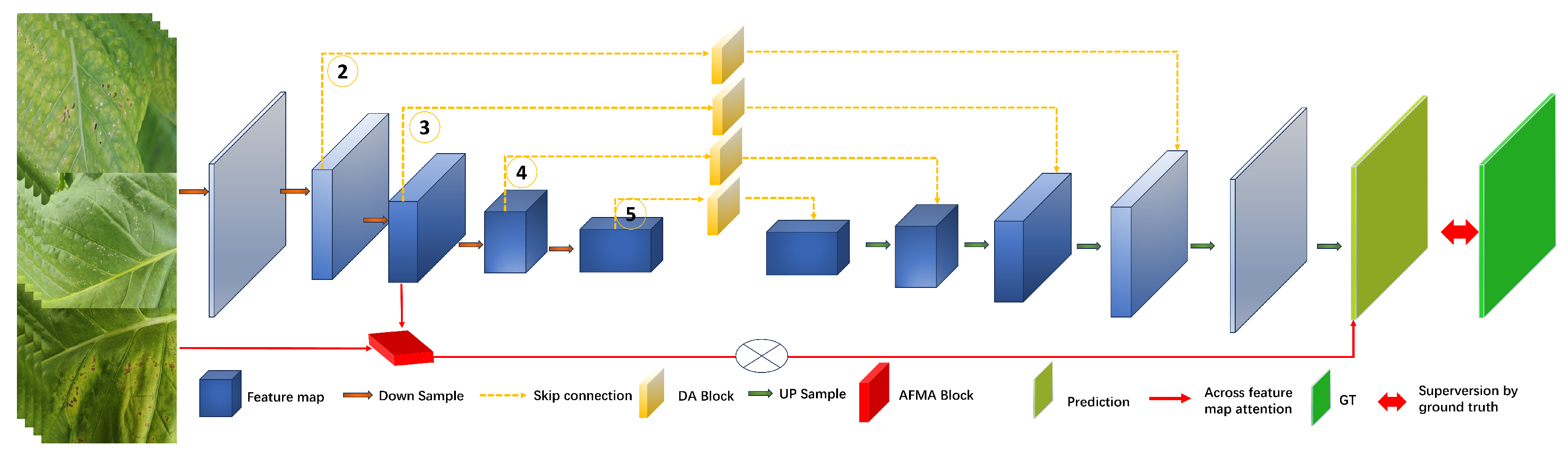 Agronomy 15 01825 g009
