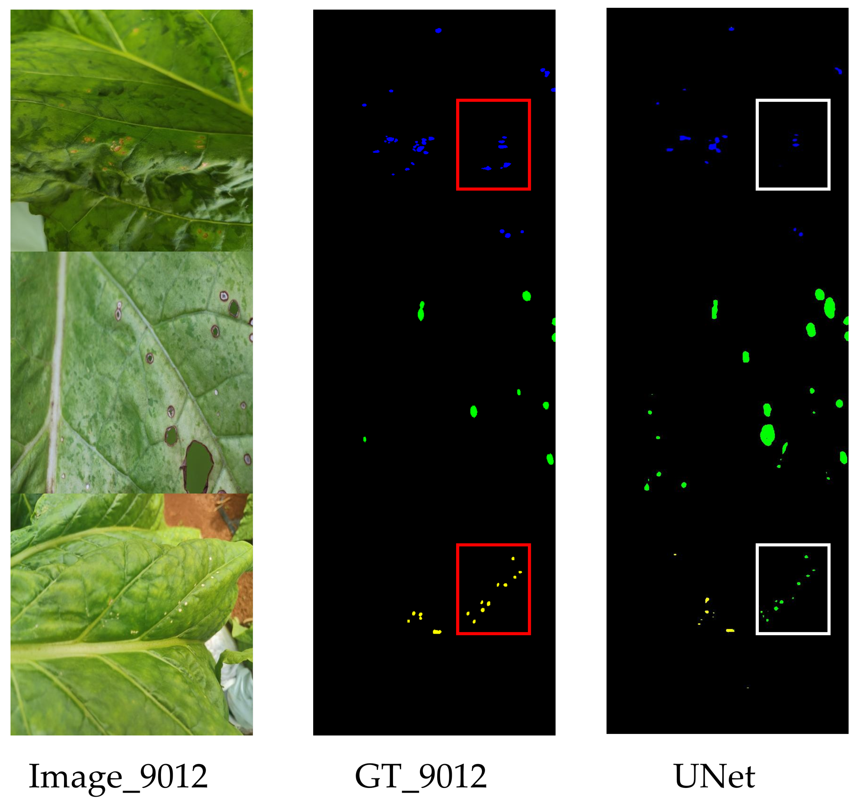 Agronomy 15 01825 g010