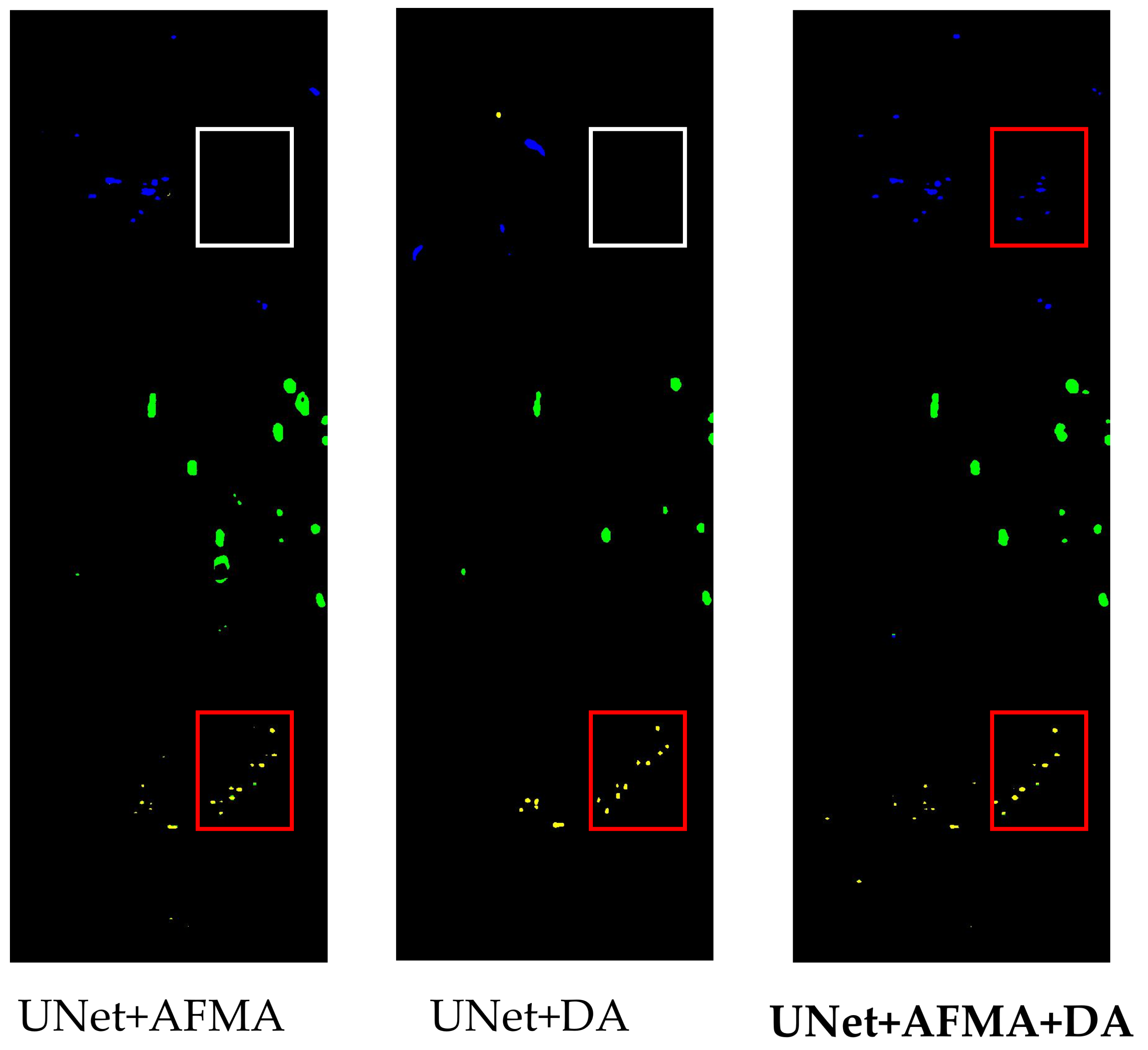 Agronomy 15 01825 g011