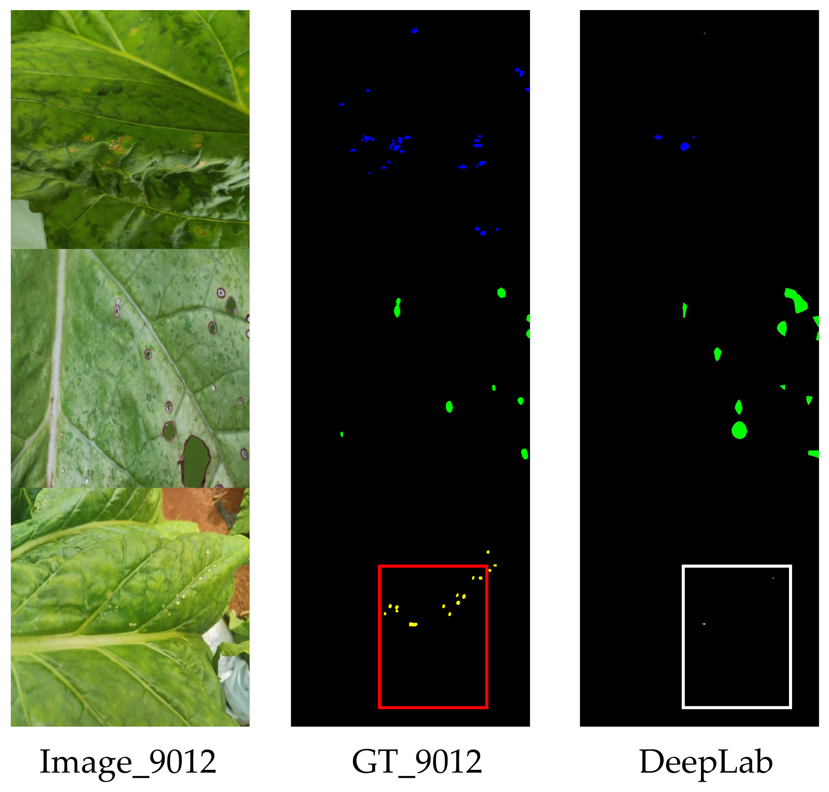 Agronomy 15 01825 g012