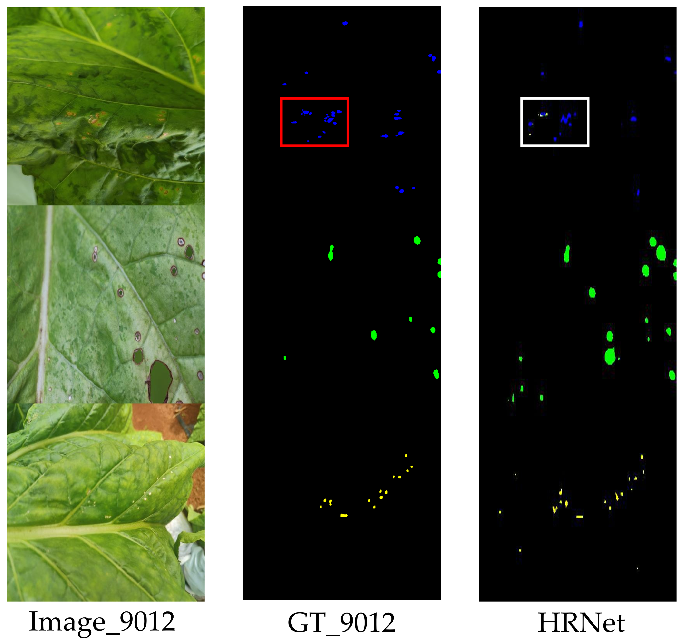 Agronomy 15 01825 g014