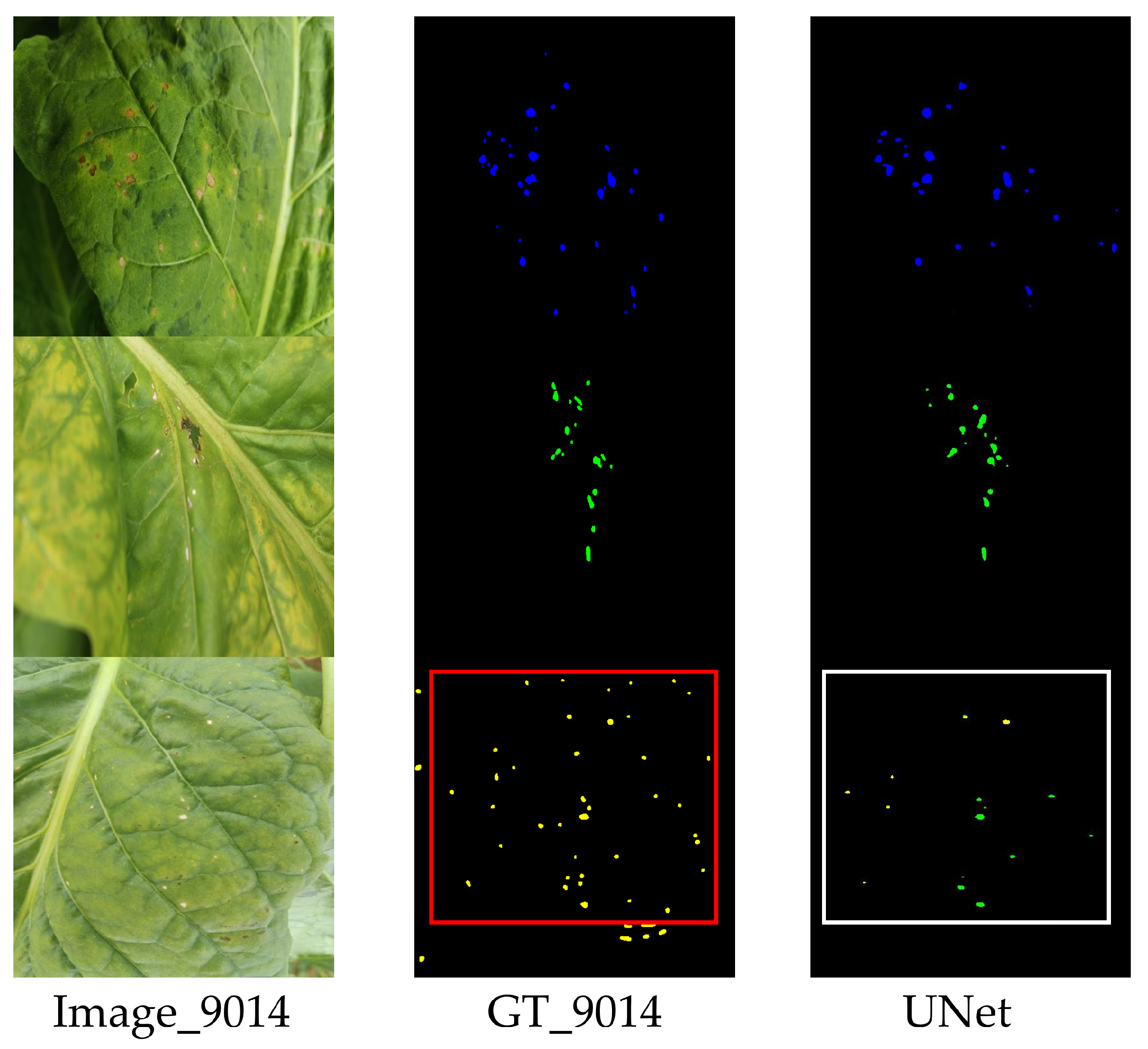 Agronomy 15 01825 g016