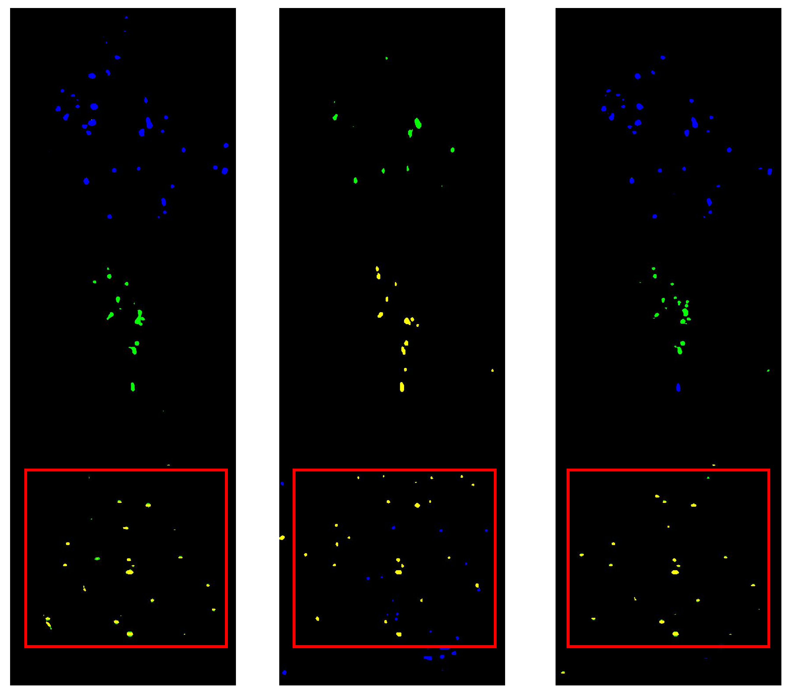 Agronomy 15 01825 g017
