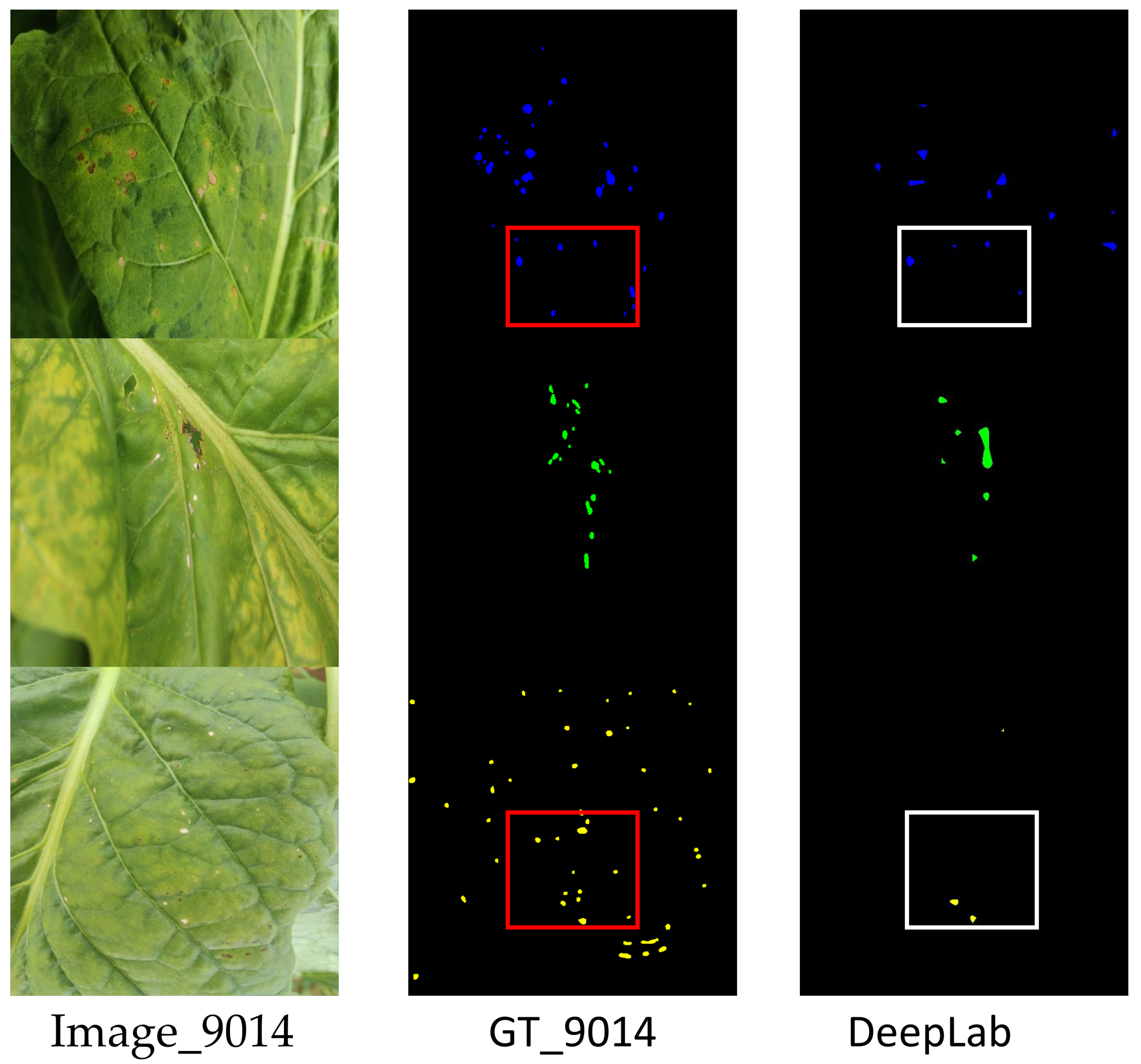 Agronomy 15 01825 g018