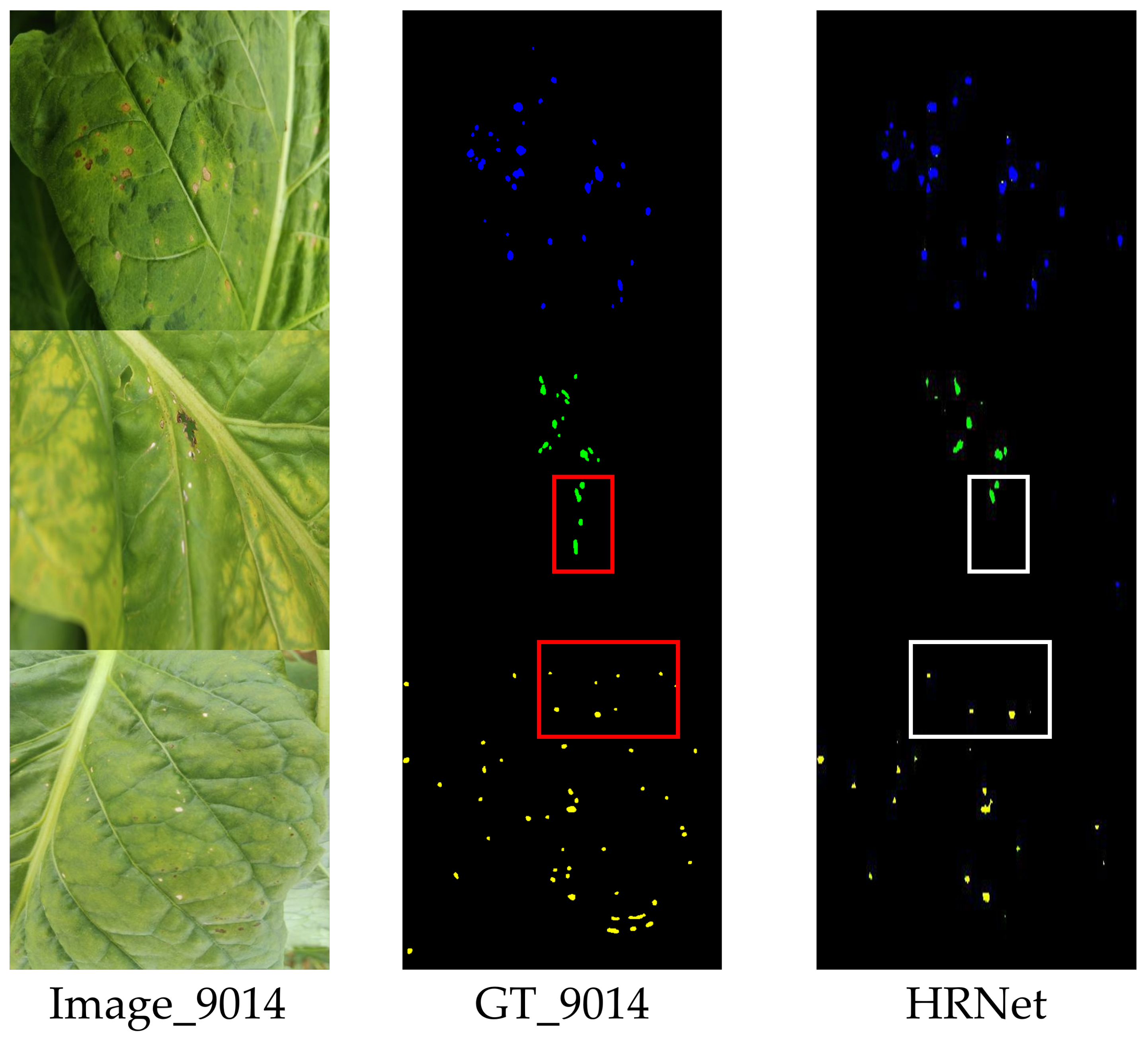 Agronomy 15 01825 g020