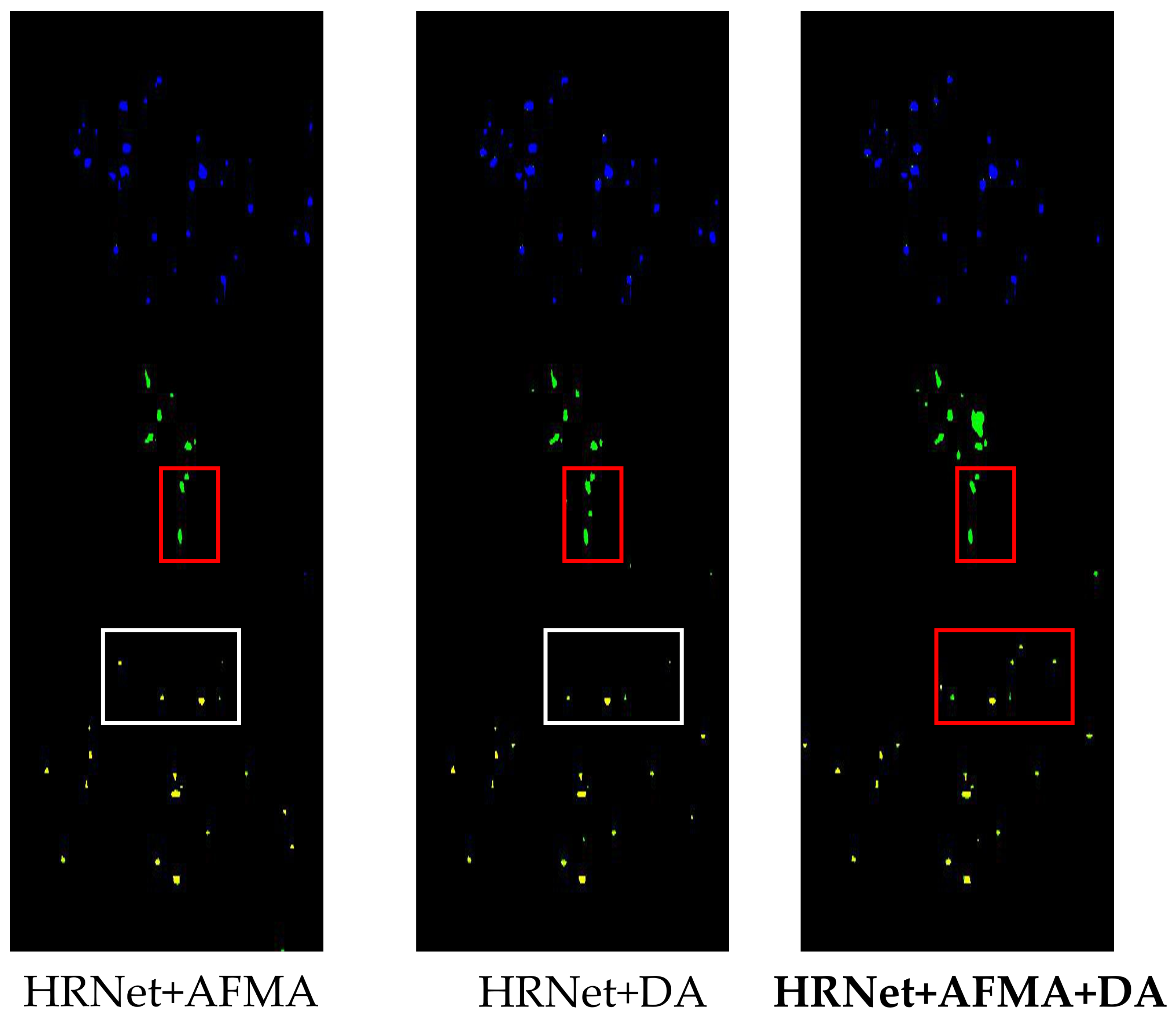 Agronomy 15 01825 g021