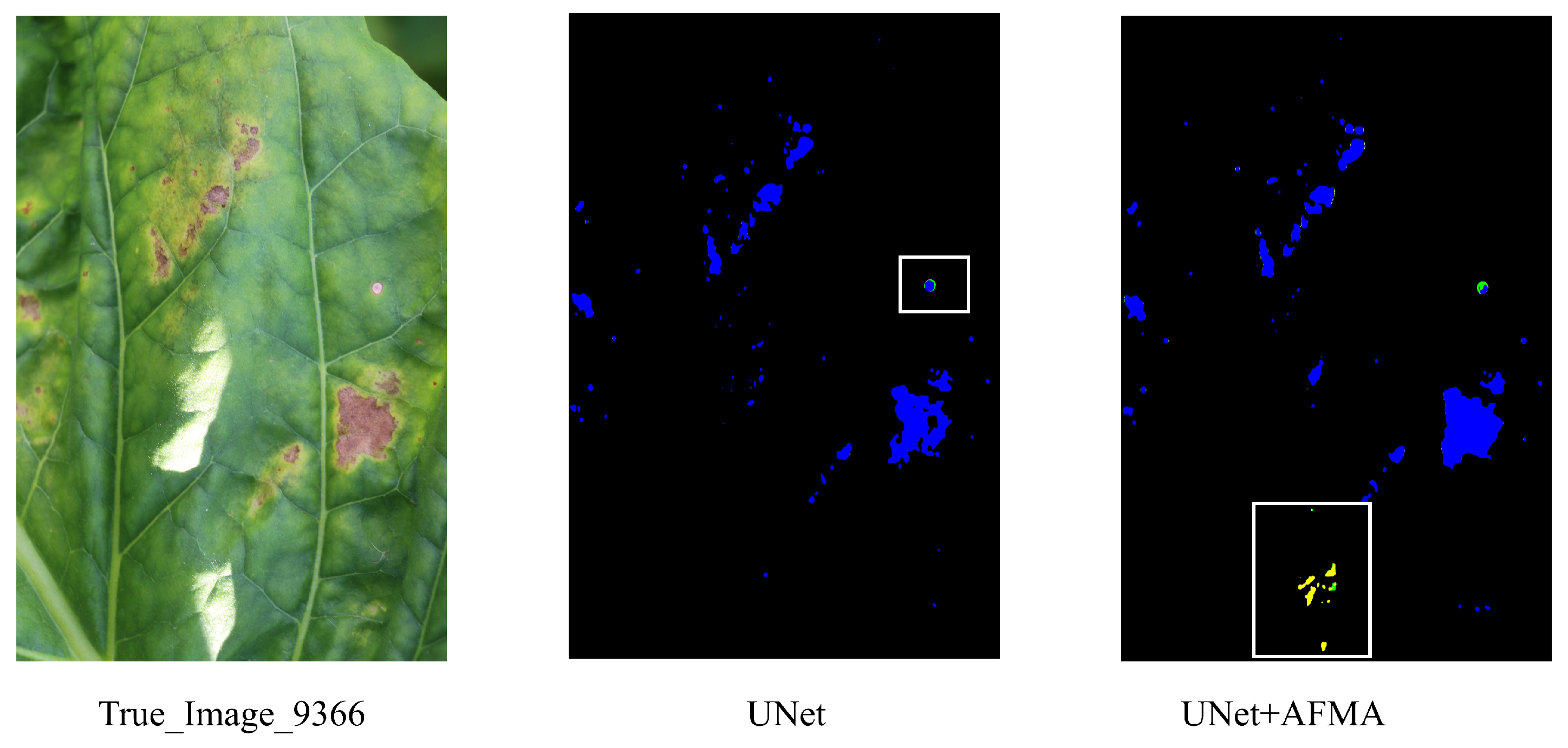 Agronomy 15 01825 g022
