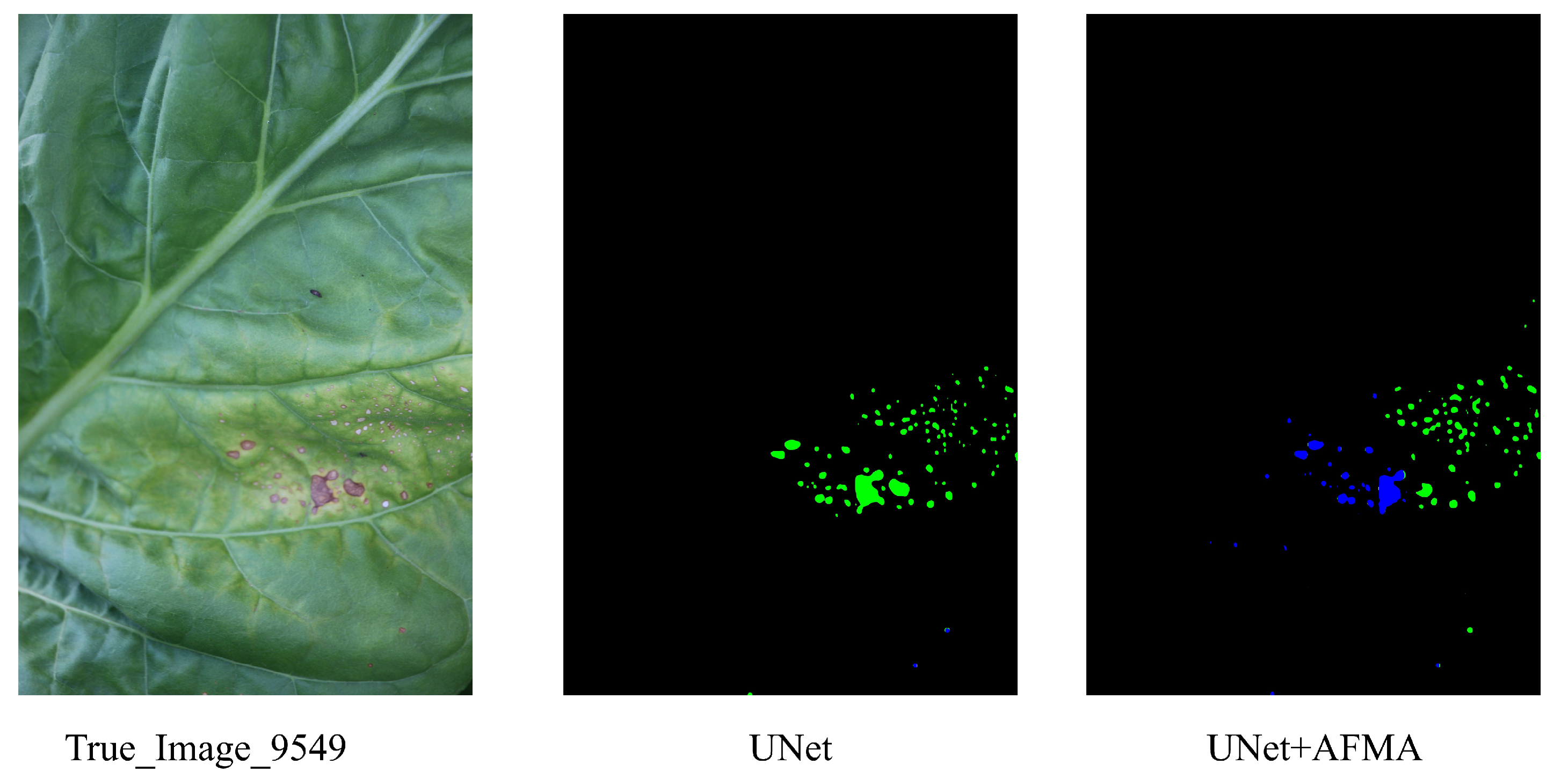 Agronomy 15 01825 g024