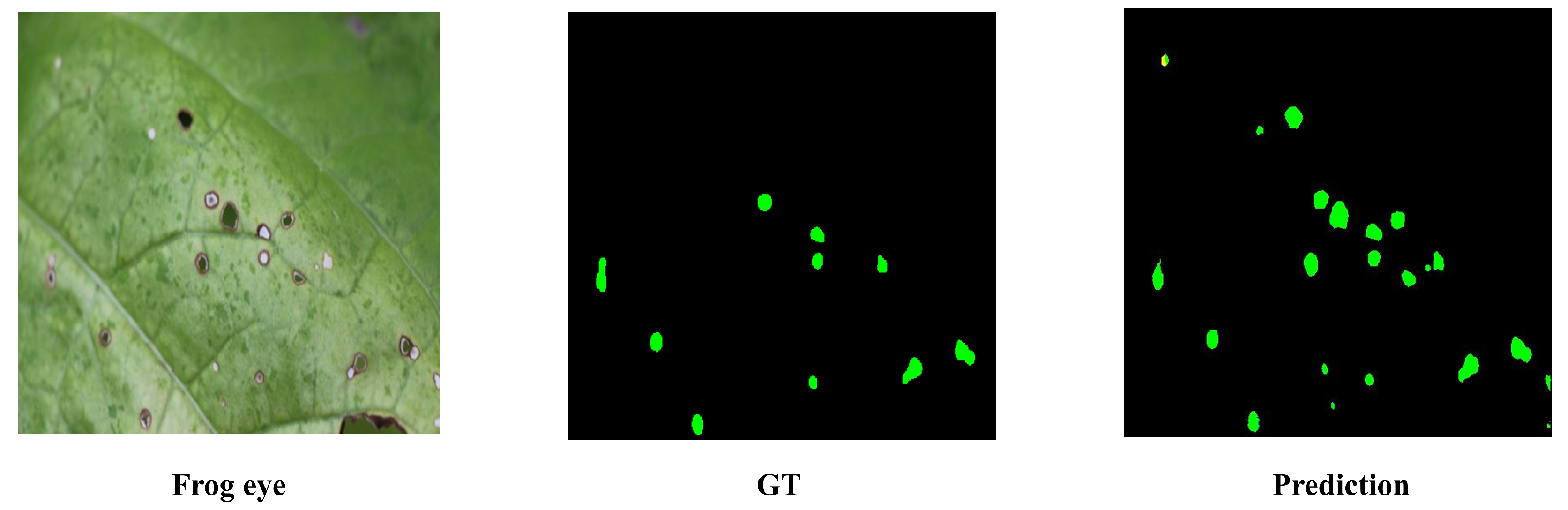 Agronomy 15 01825 g026