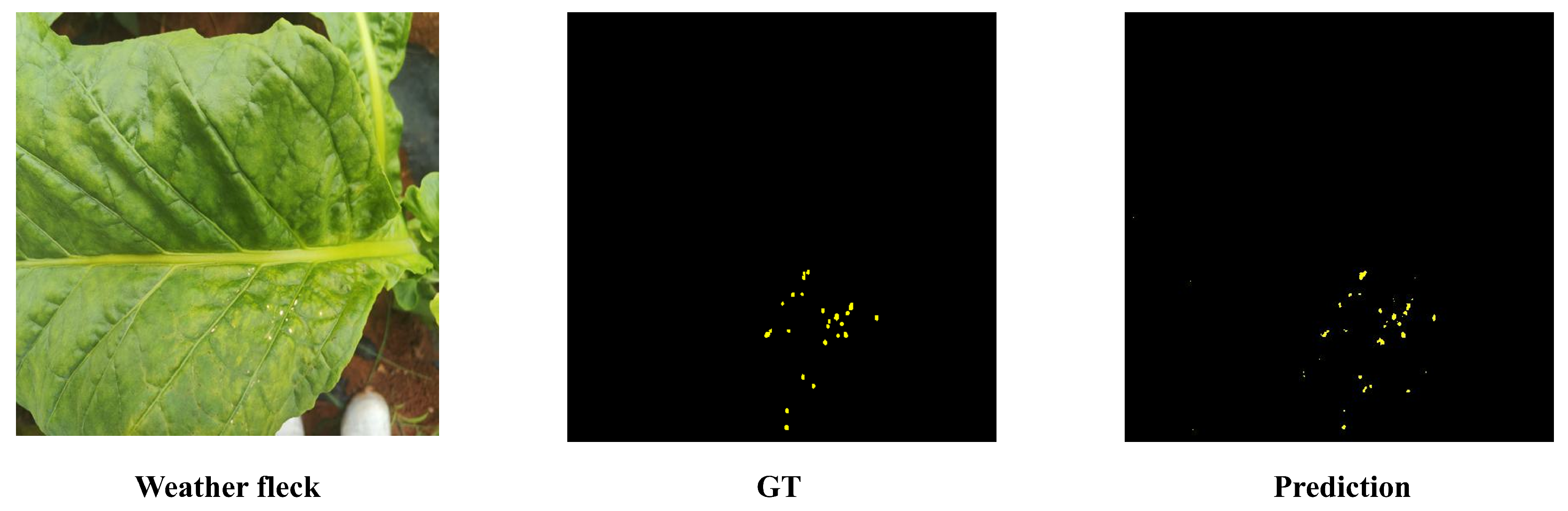 Agronomy 15 01825 g027