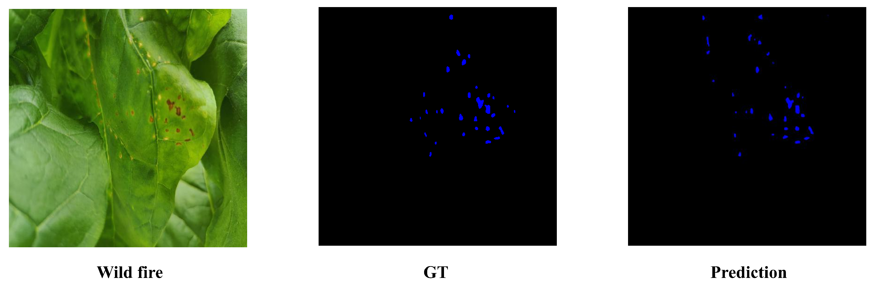 Agronomy 15 01825 g028