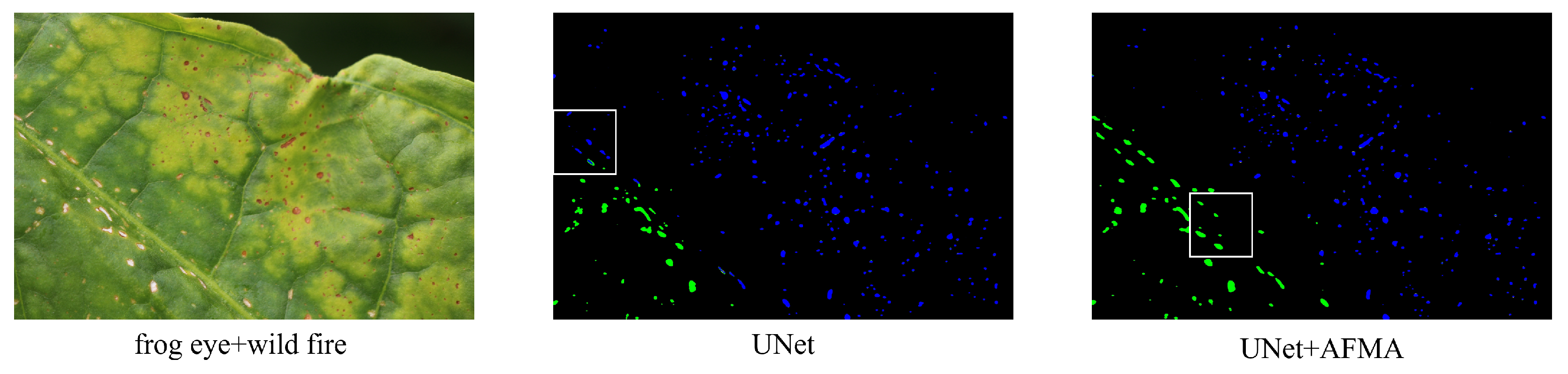 Agronomy 15 01825 g029