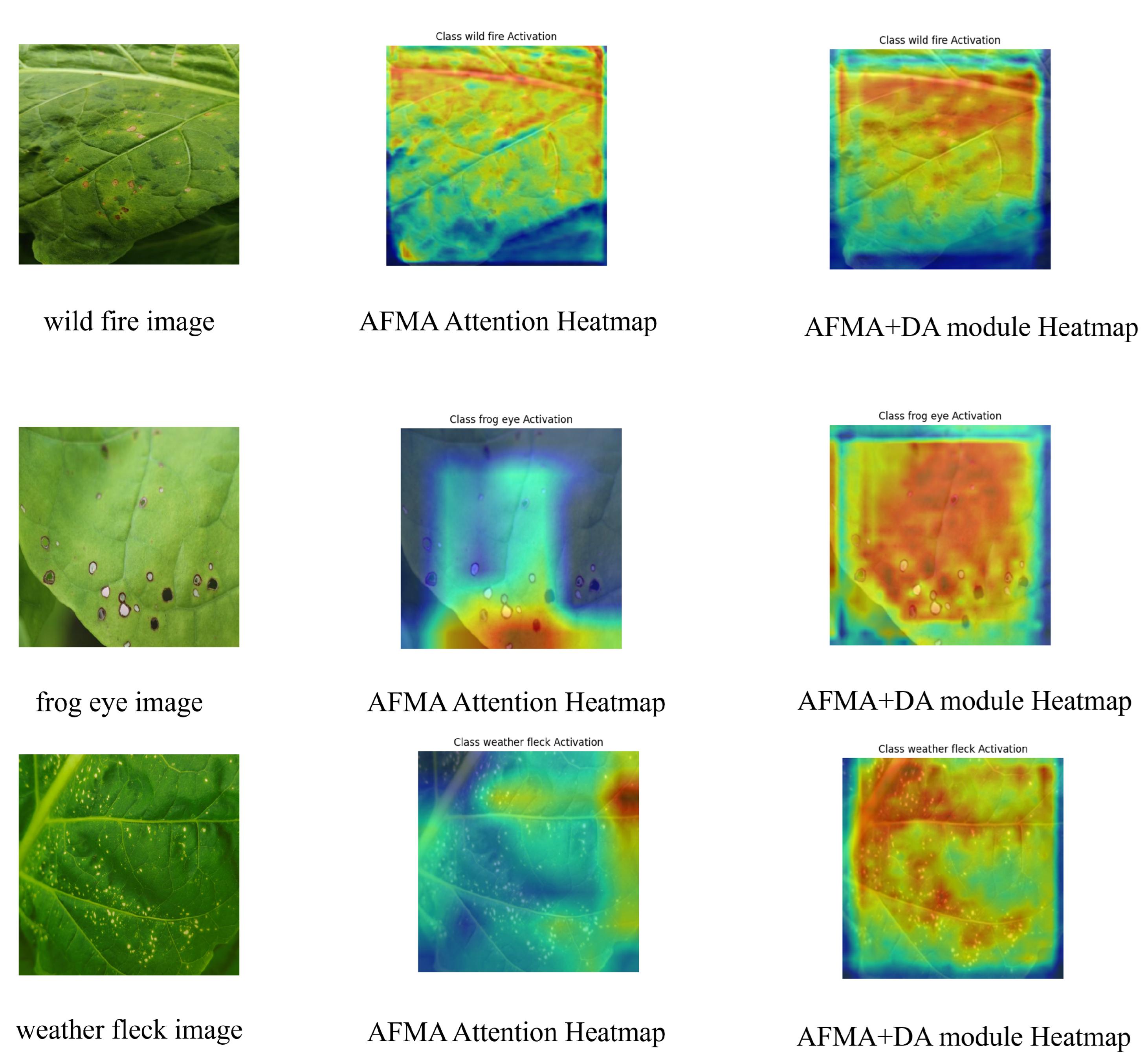 Agronomy 15 01825 g032