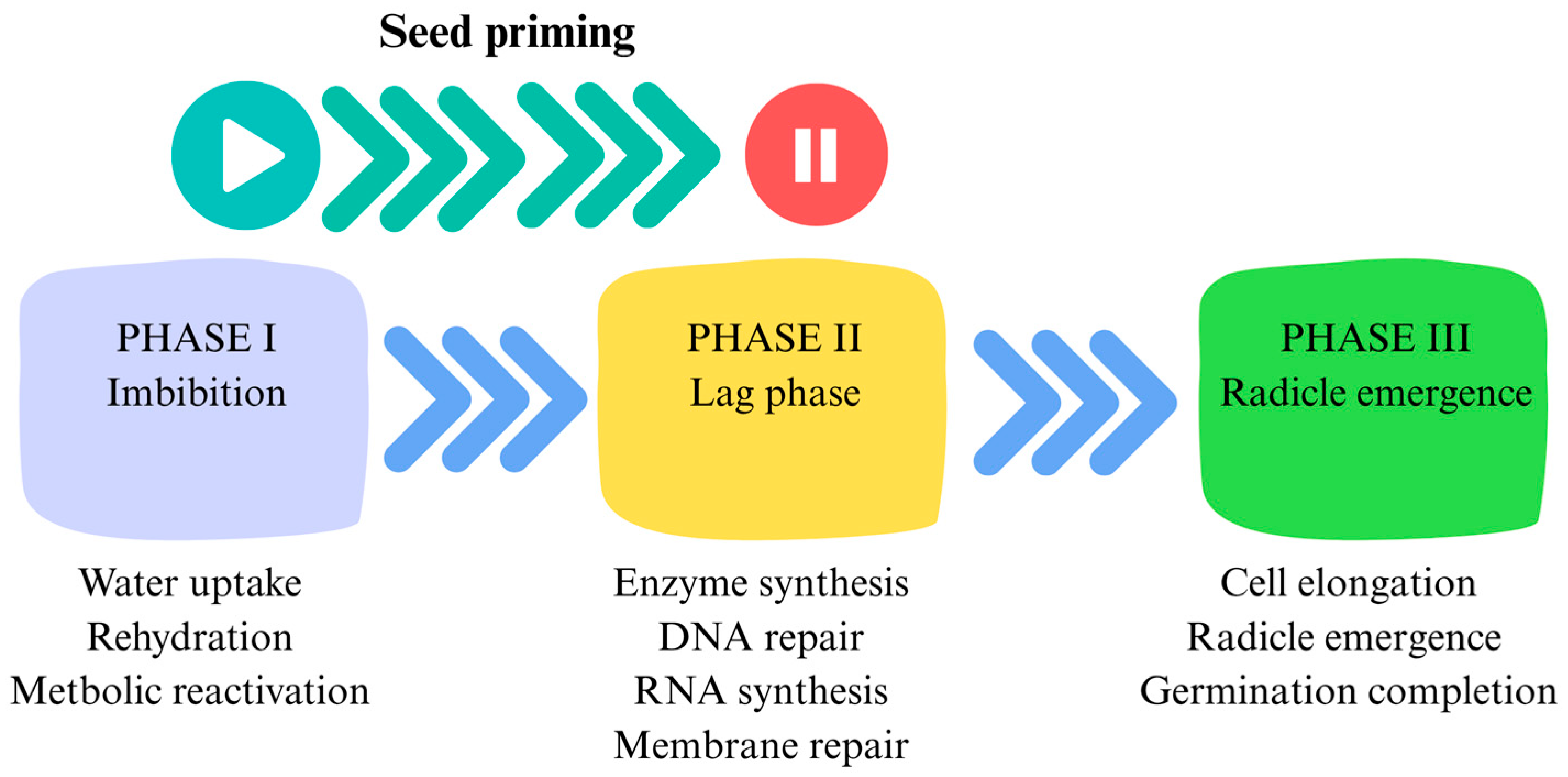 Agronomy 15 01829 g001