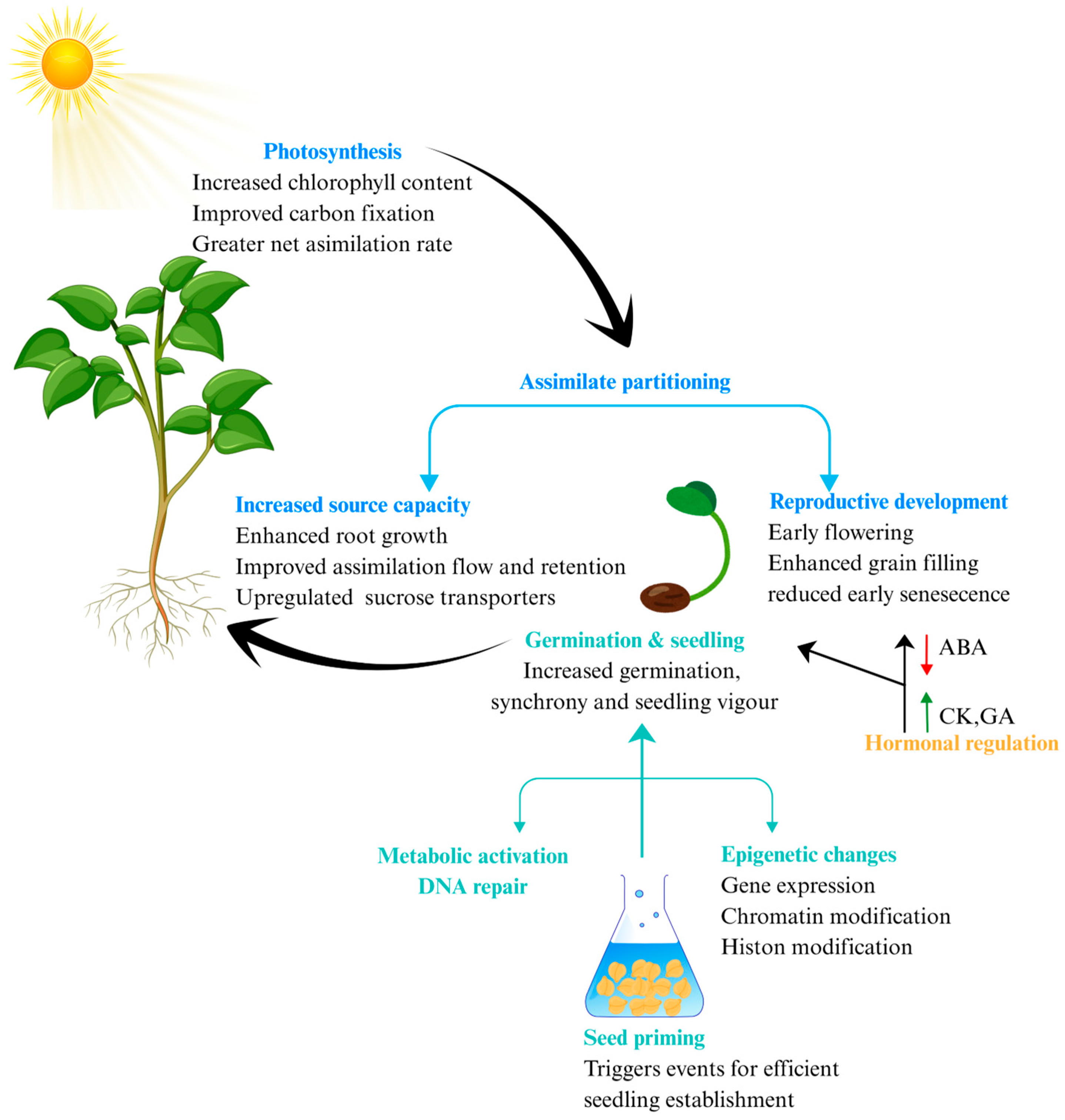 Agronomy 15 01829 g003