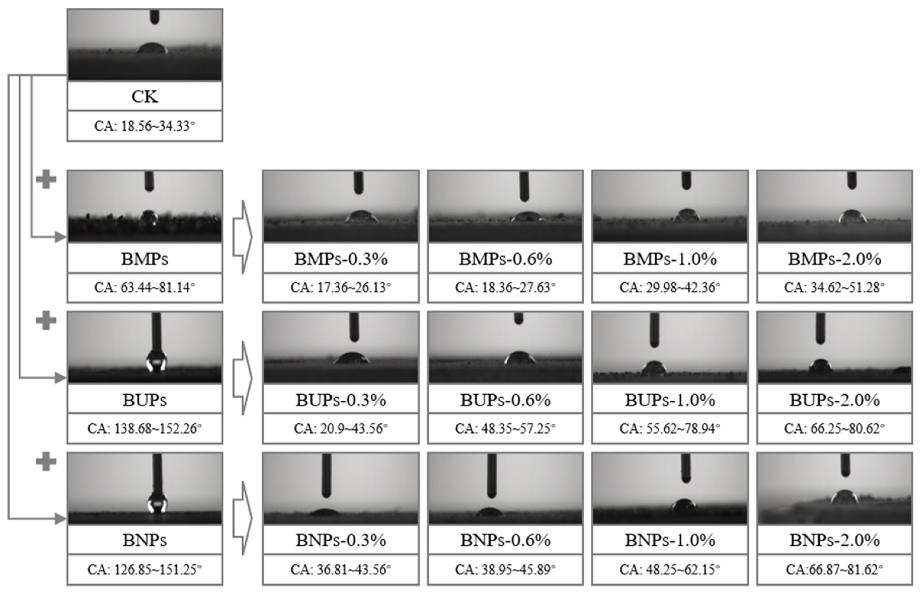 Agronomy 15 01830 g005