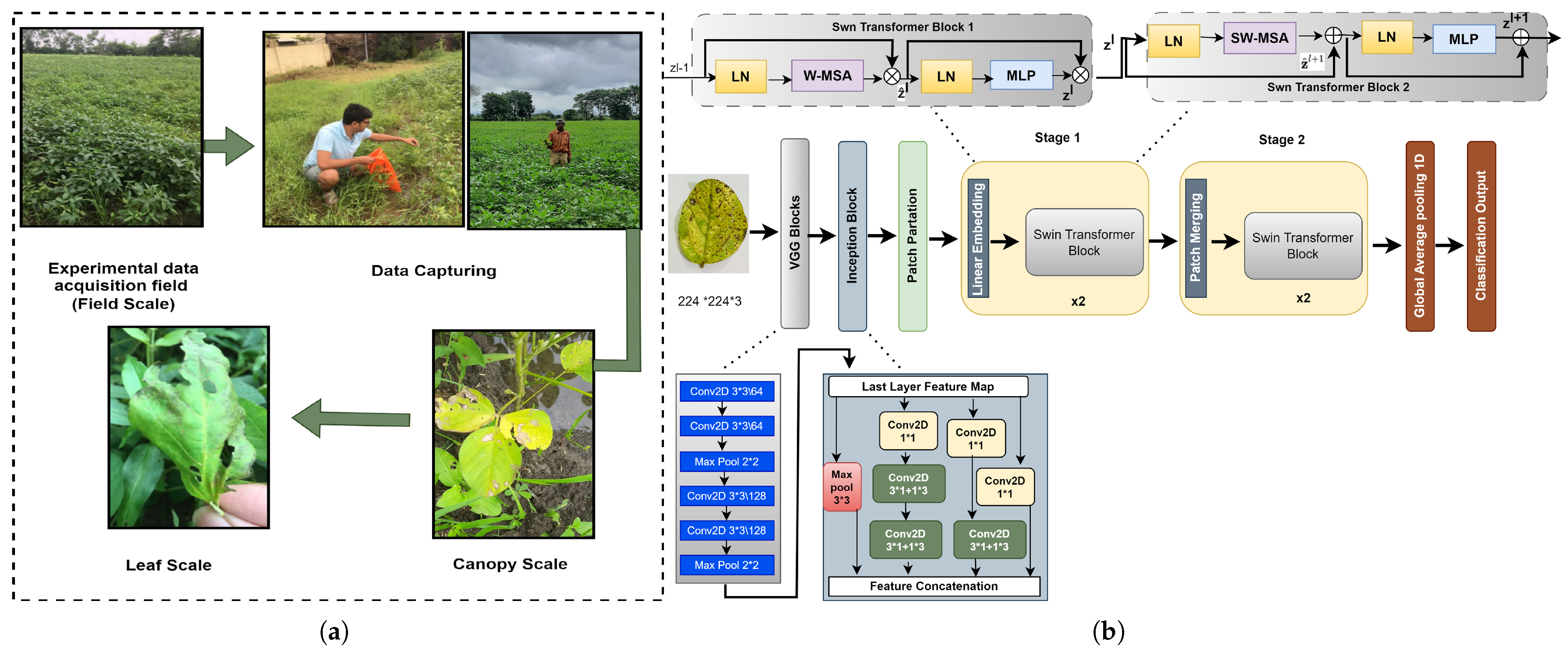 Agronomy 15 01831 g003