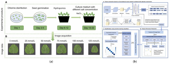 Empowering Smart Soybean Farming with Deep Learning: Progress