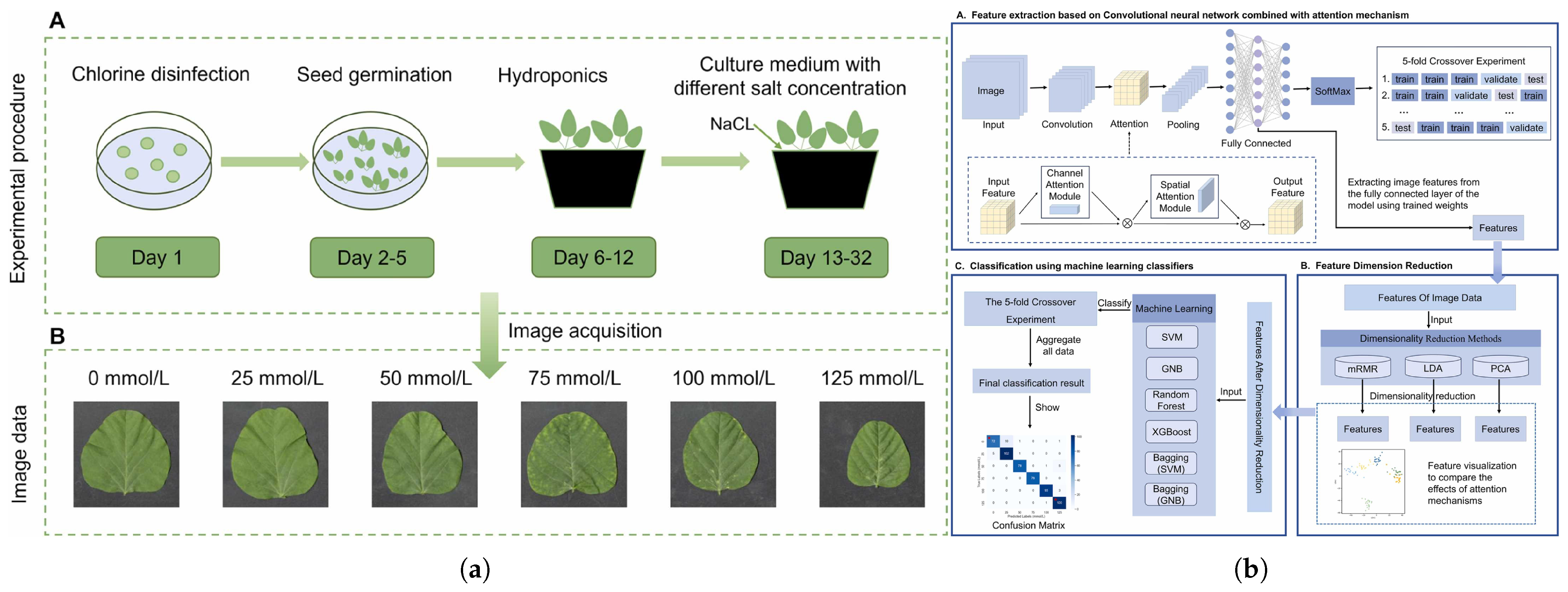 Agronomy 15 01831 g005