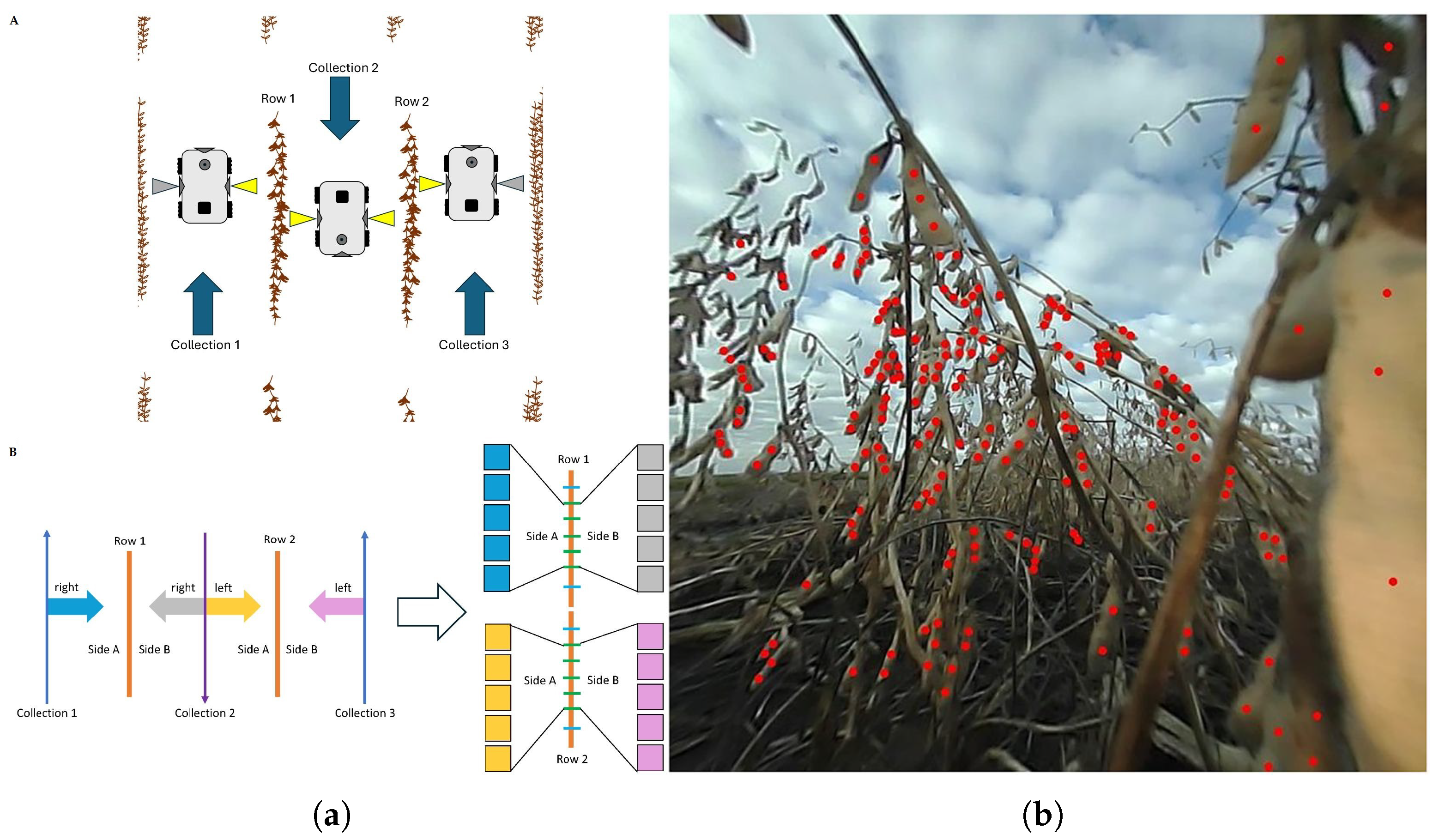 Agronomy 15 01831 g007