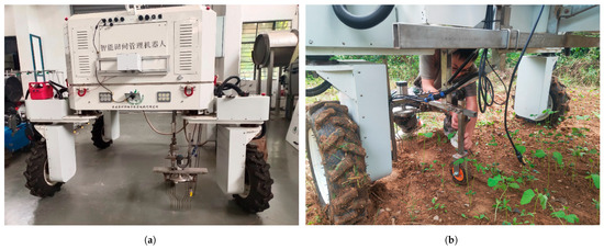 A&M Empowering Smart Soybean Farming with Deep Learning