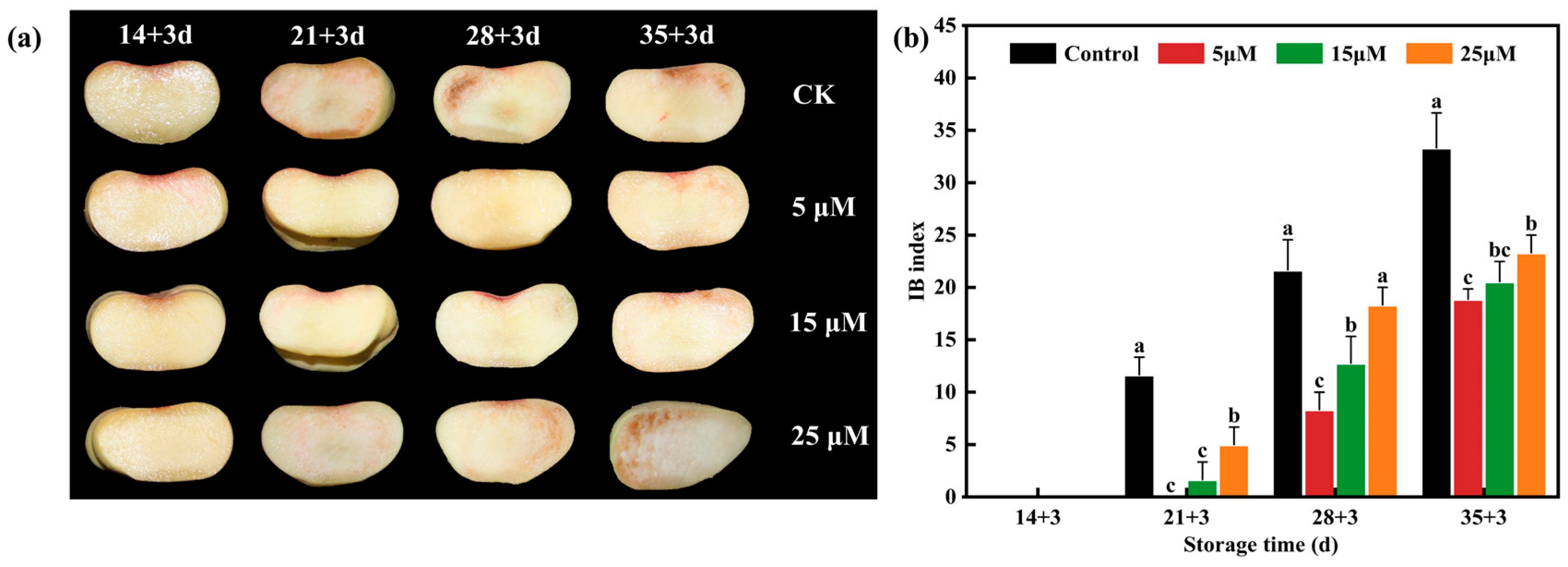 Agronomy 15 01835 g001