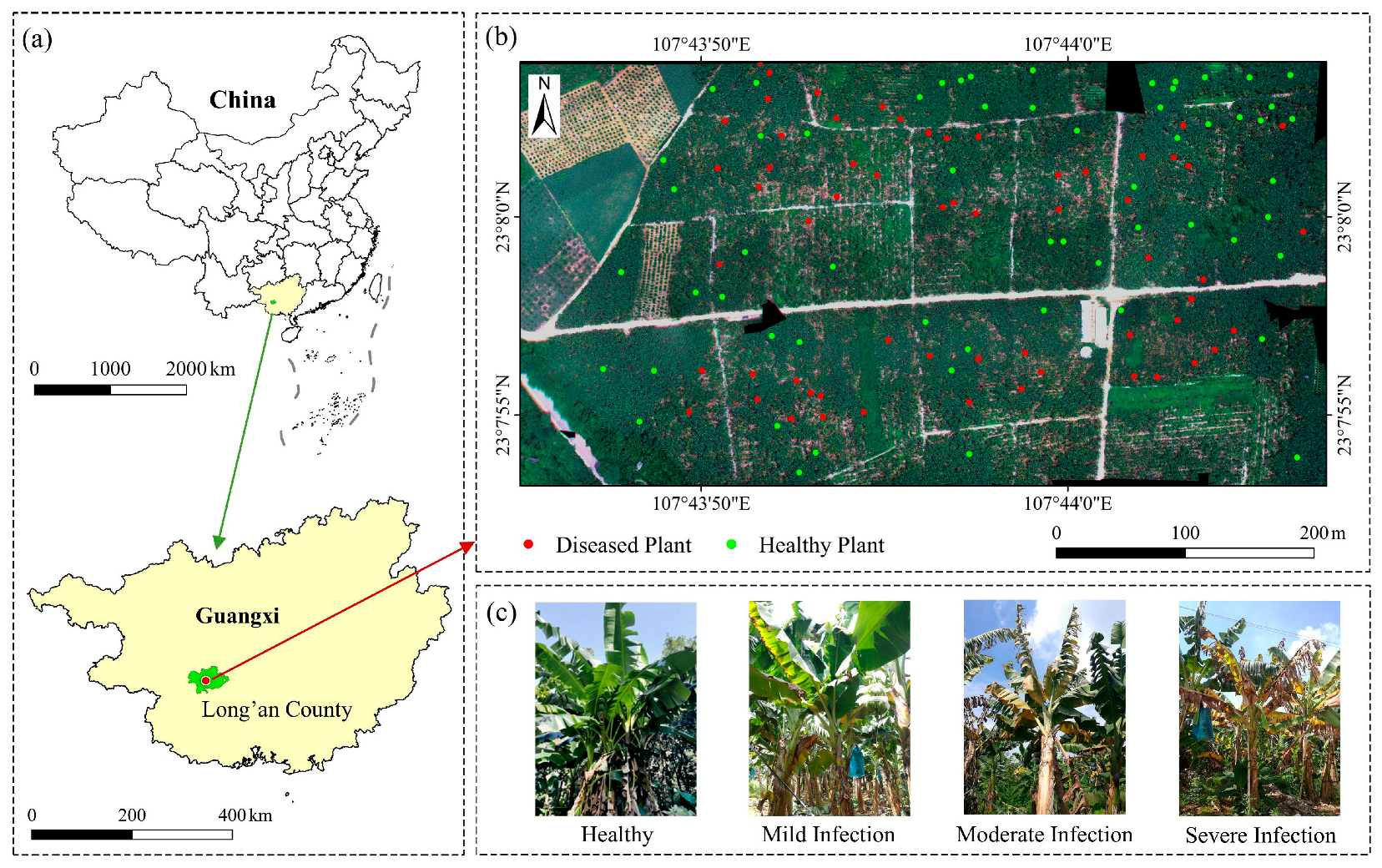 Agronomy 15 01837 g001