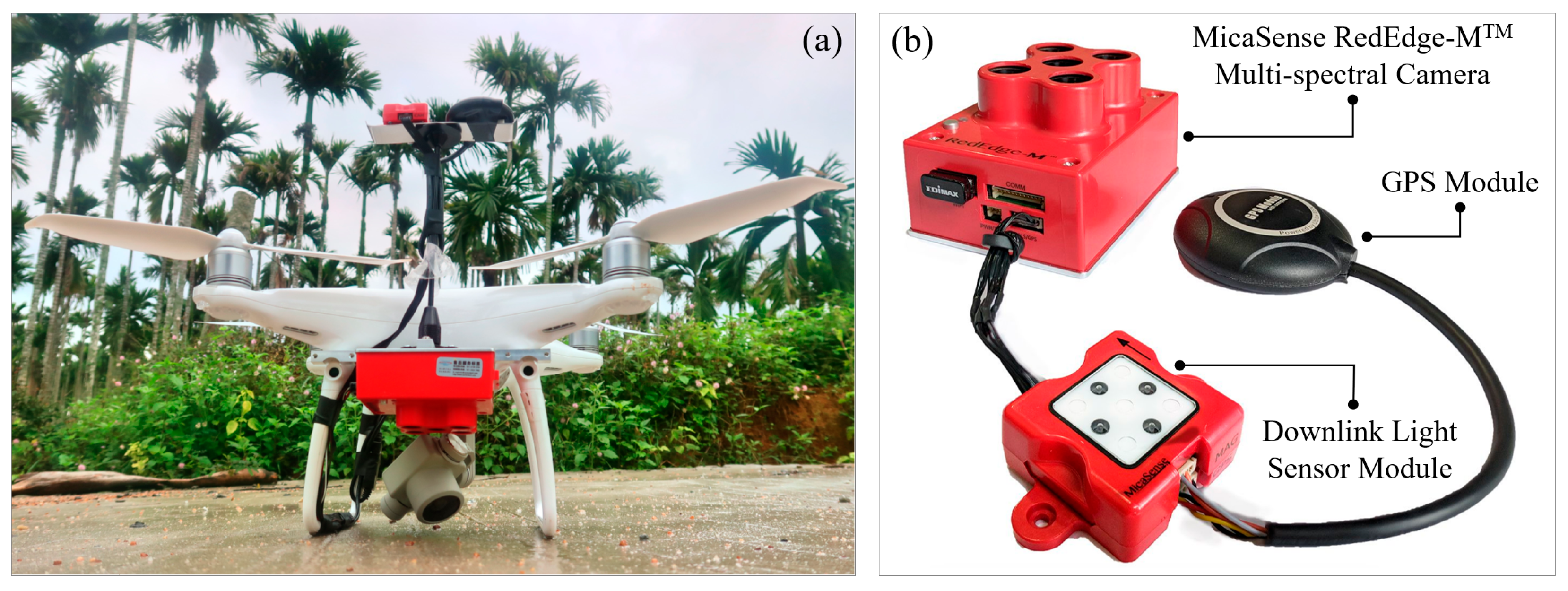 Agronomy 15 01837 g002