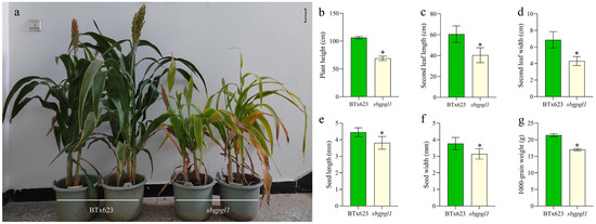 Lu Chemical chaperone 4-phenylbutyrate treatment alleviates the