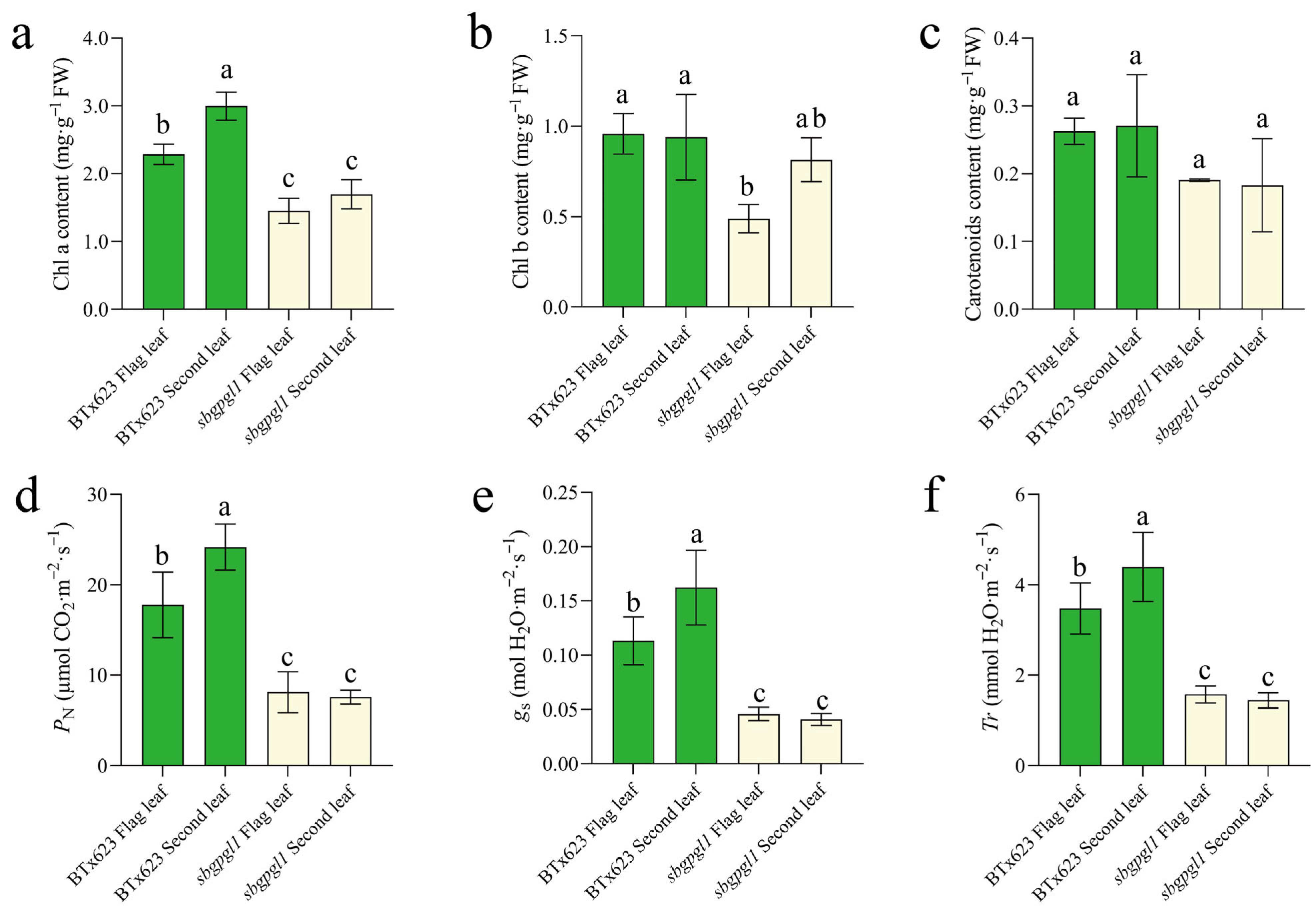 Agronomy 15 01841 g002