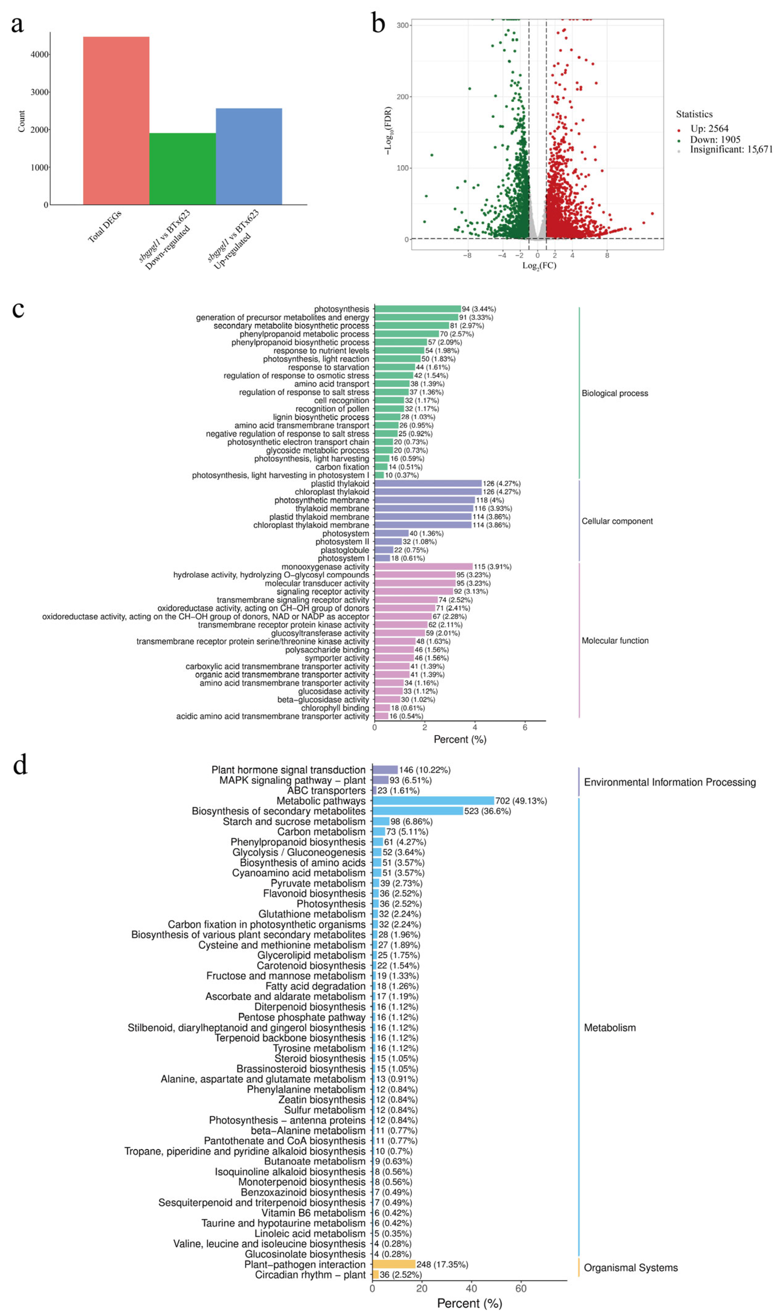 Agronomy 15 01841 g004