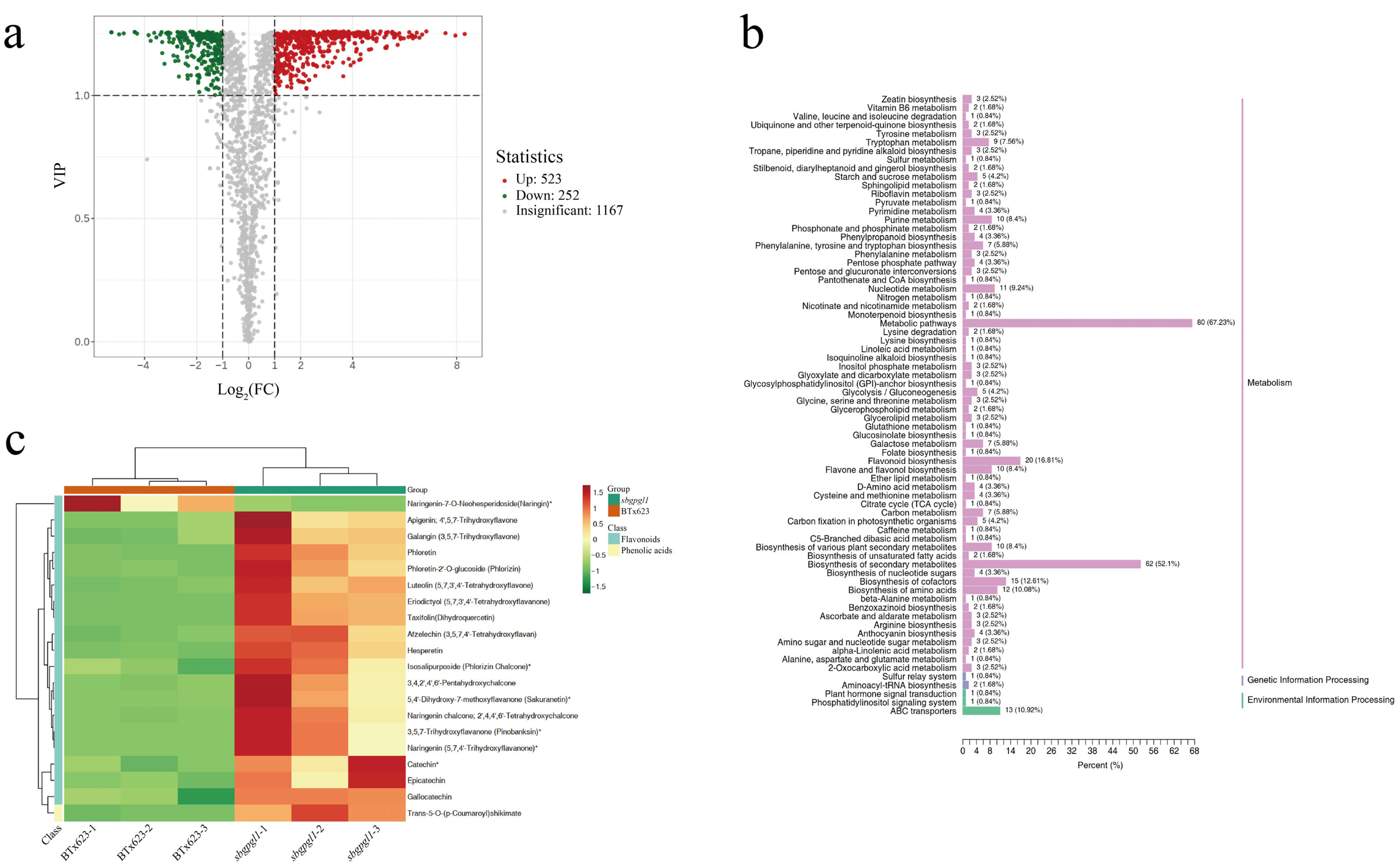 Agronomy 15 01841 g005