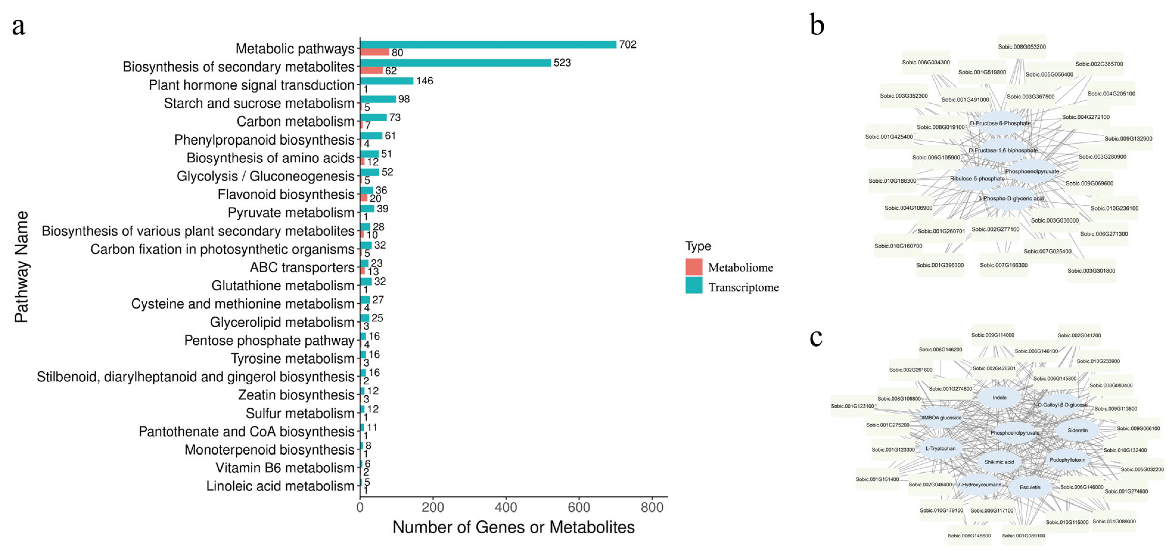 Agronomy 15 01841 g006
