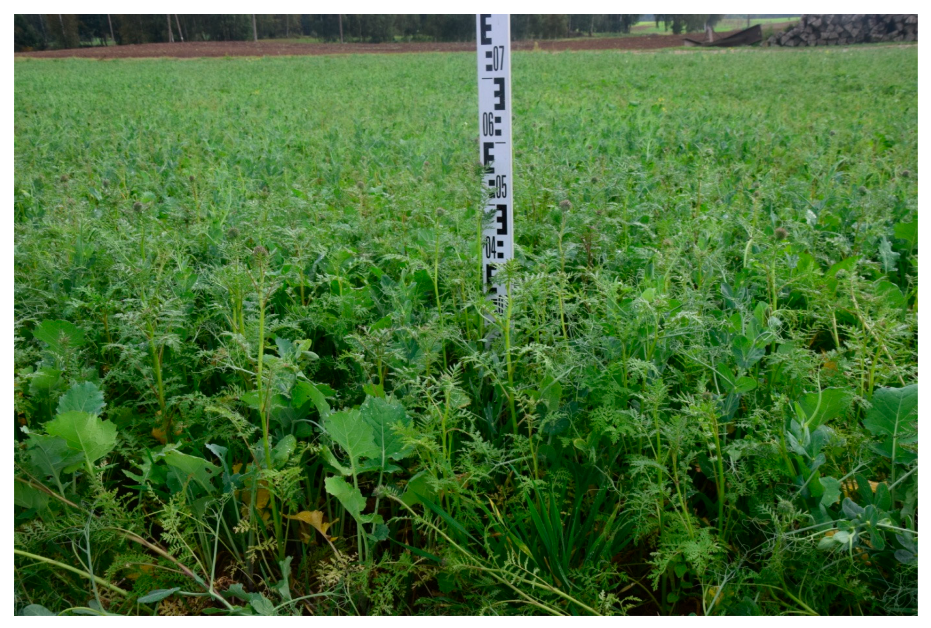 Agronomy 15 01843 g005