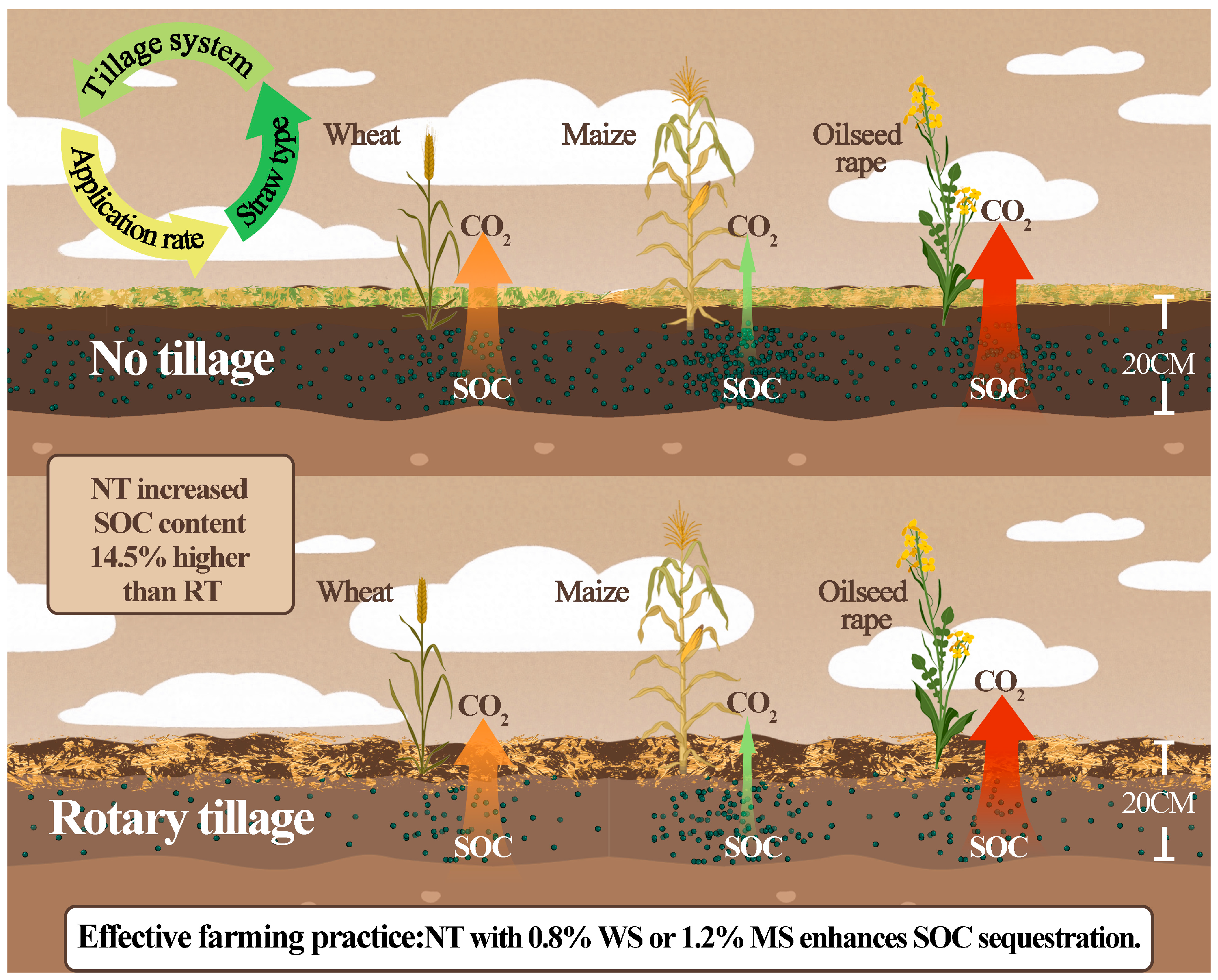 Agronomy 15 01847 g005