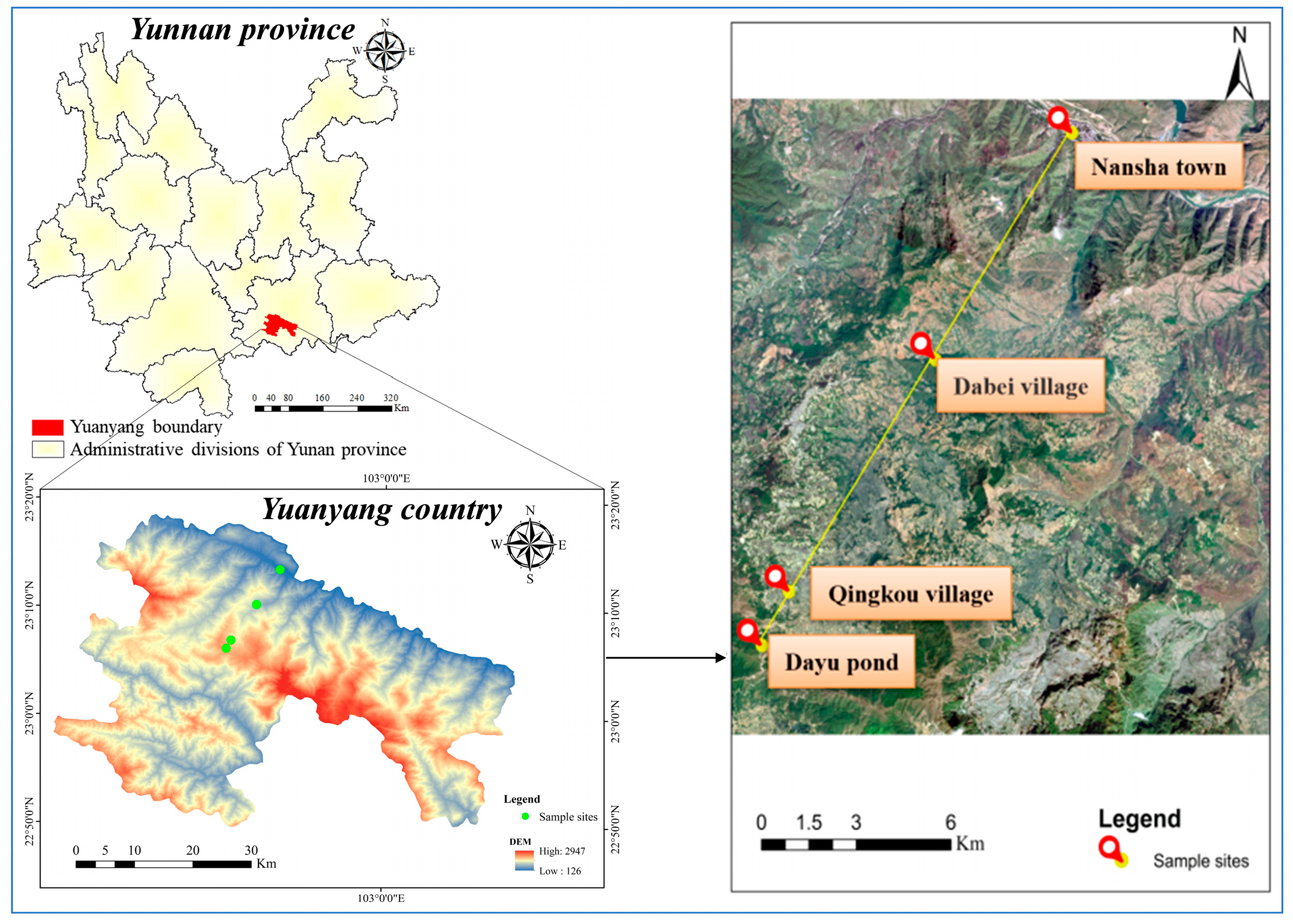 Agronomy 15 01868 g001