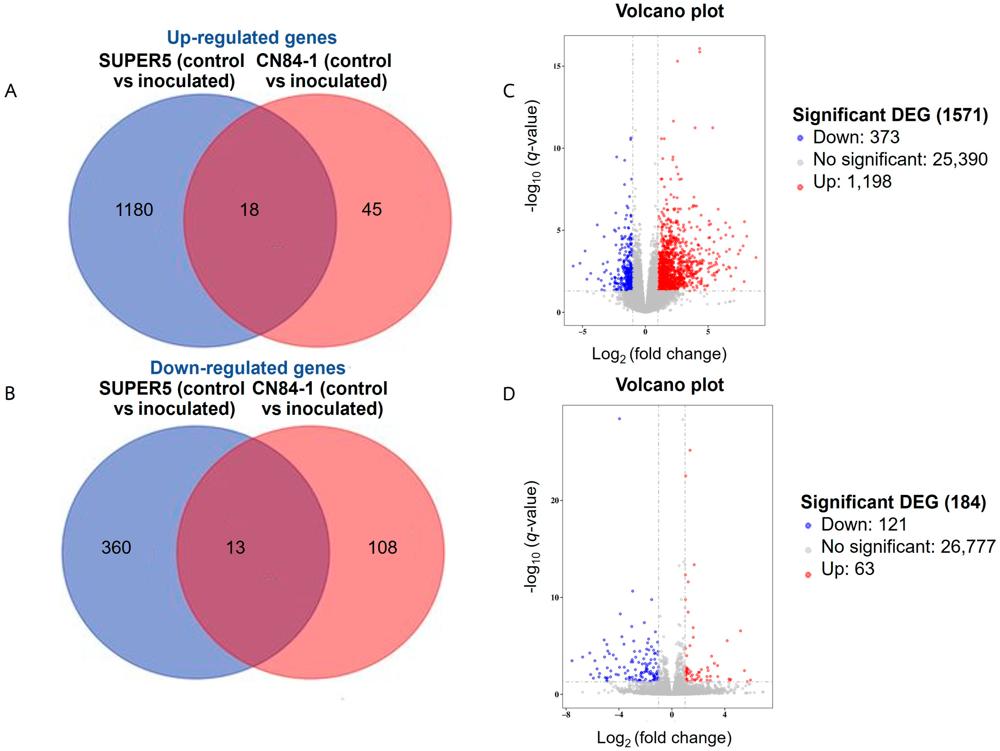 Agronomy 15 01871 g002