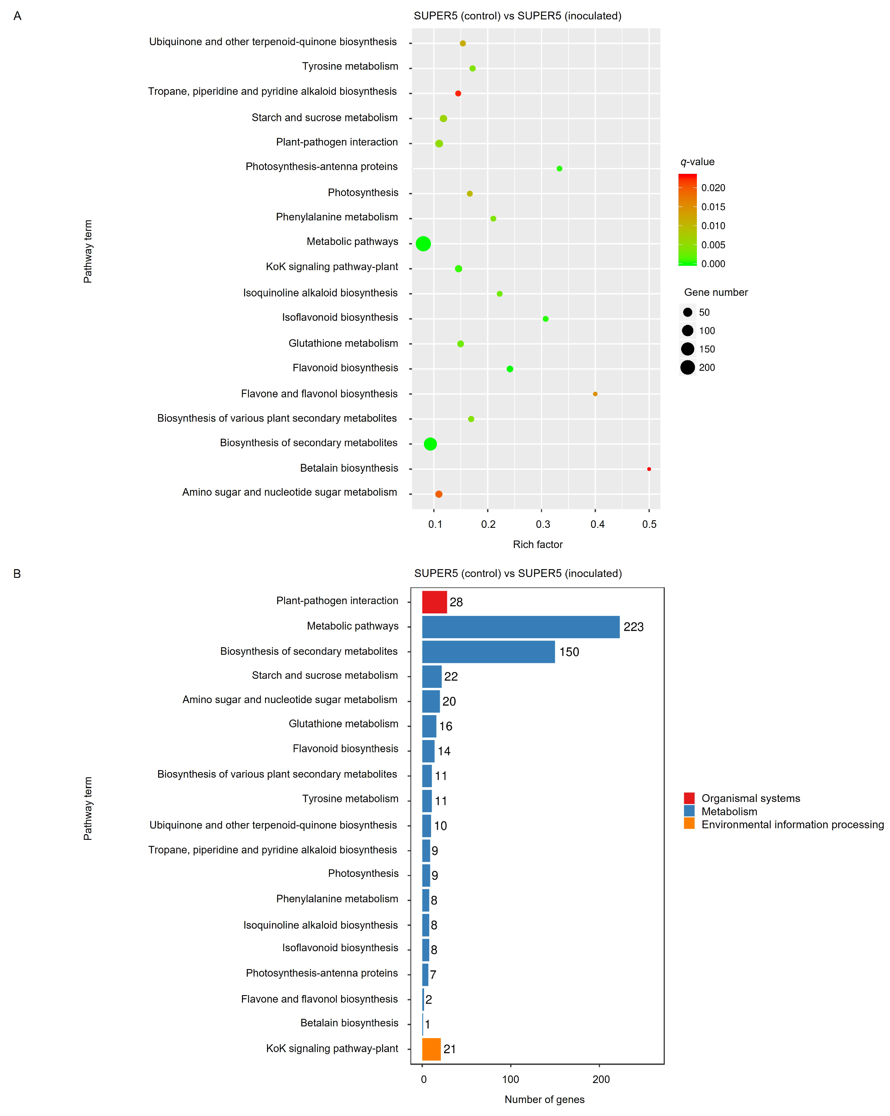 Agronomy 15 01871 g004