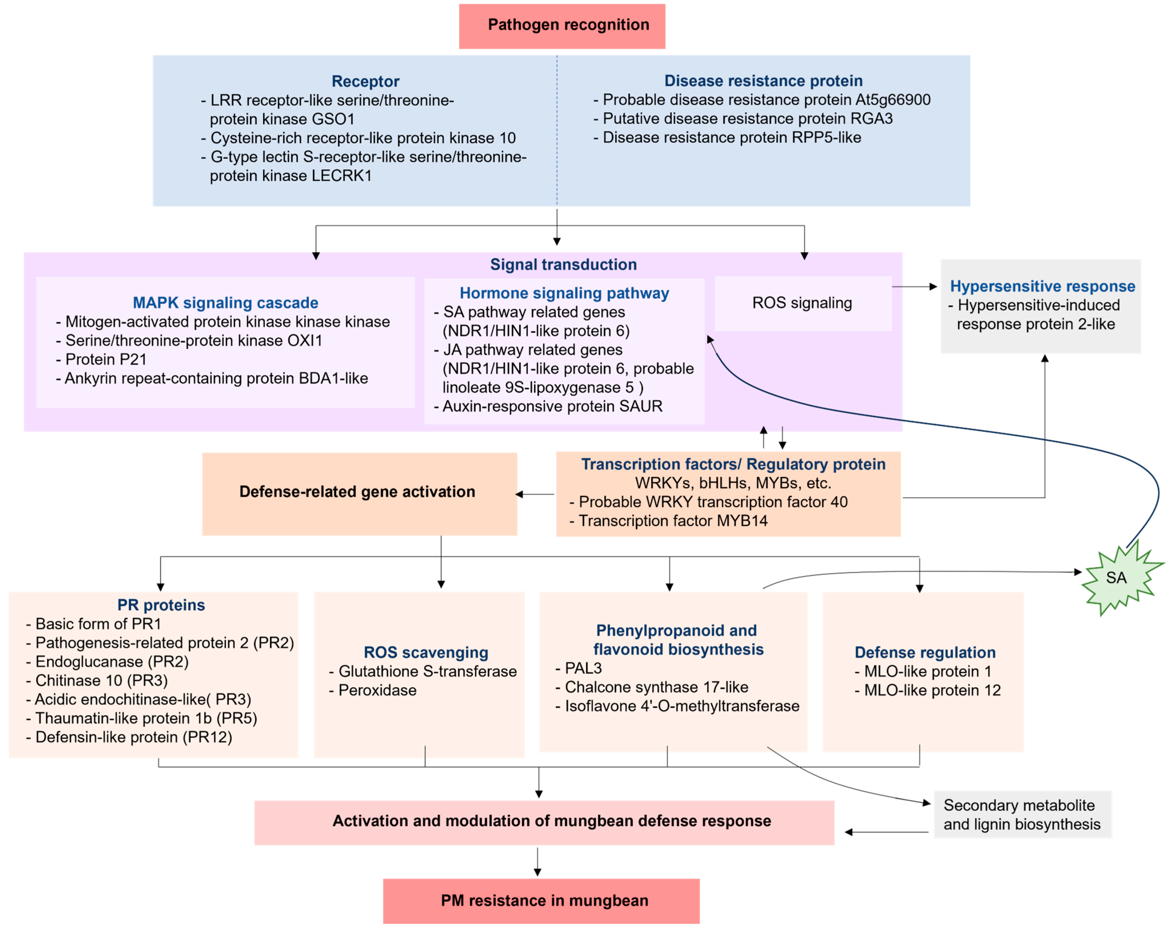 Agronomy 15 01871 g006
