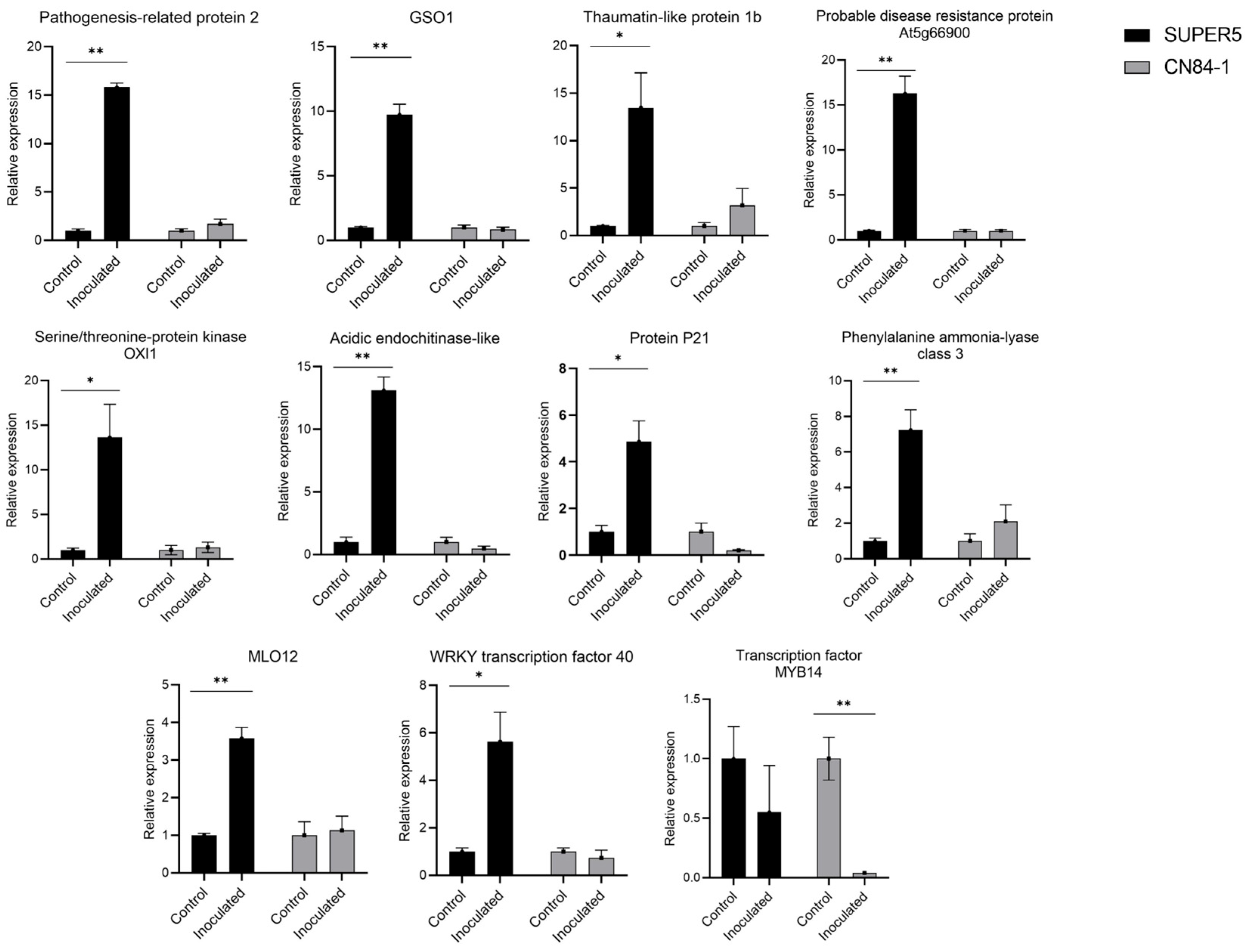 Agronomy 15 01871 g008