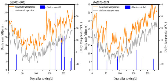 Regulated Deficit Irrigation Improves Yield Formation and