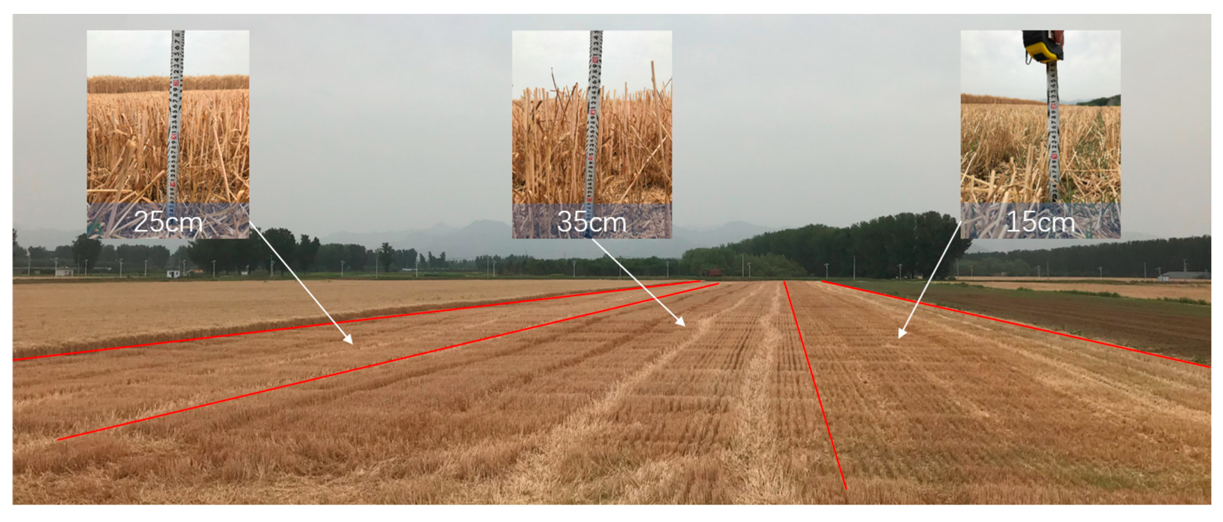 Agronomy 15 01875 g002