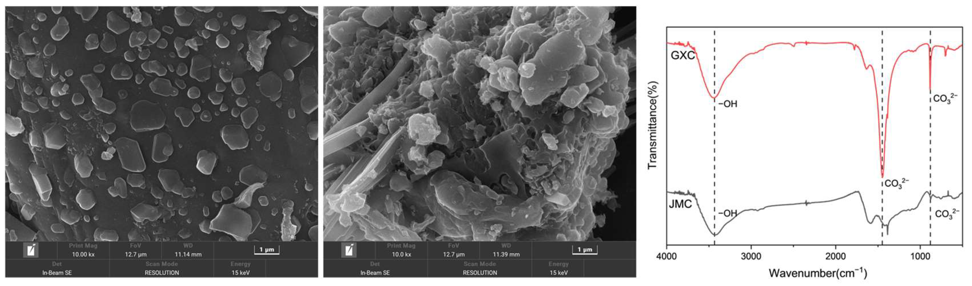 Agronomy 15 01877 g001